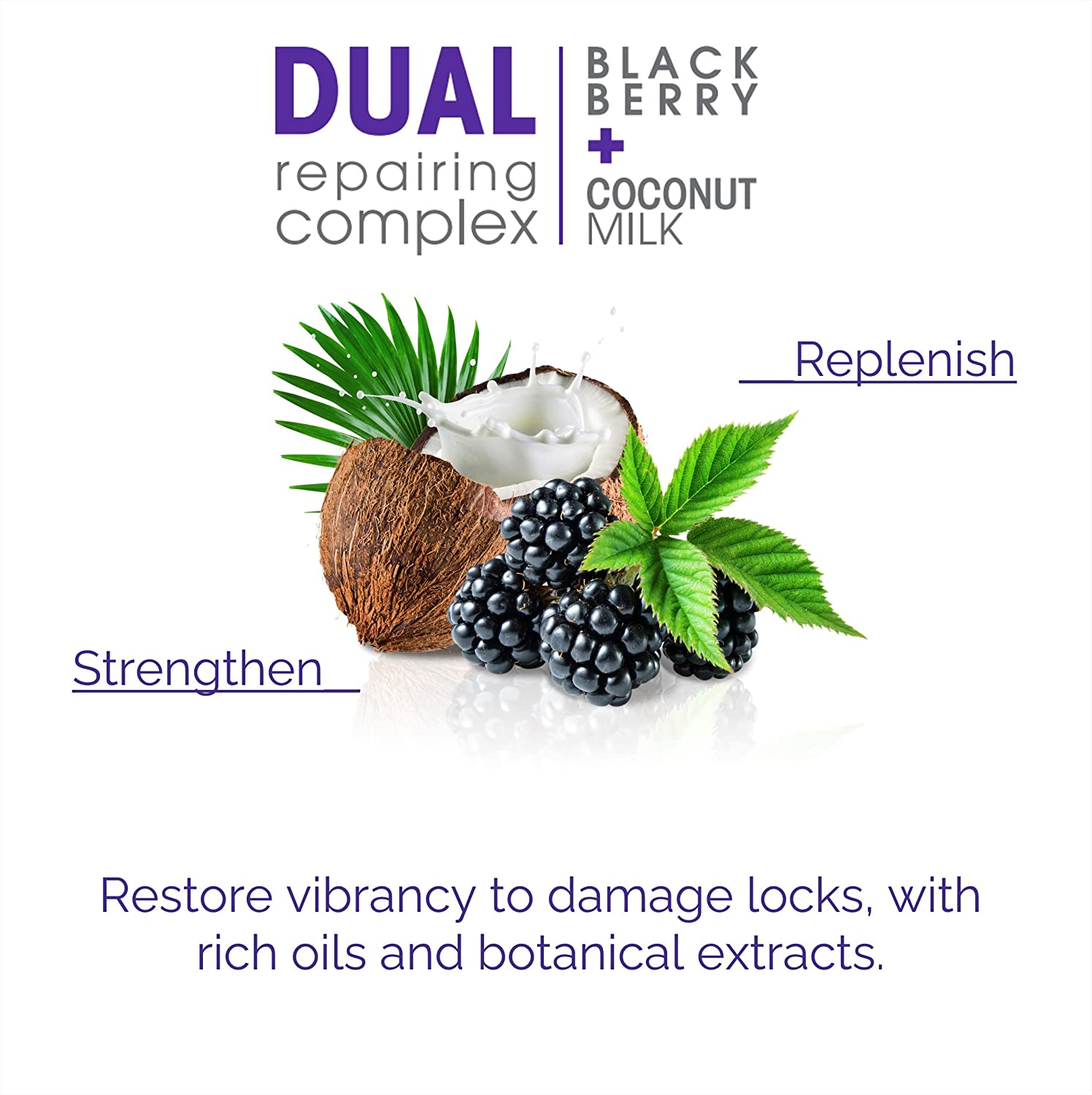 GIOVANNI 2Chic Repairing Shampoo for Damaged, over Processed Hair, 250 Milliliter image number 1