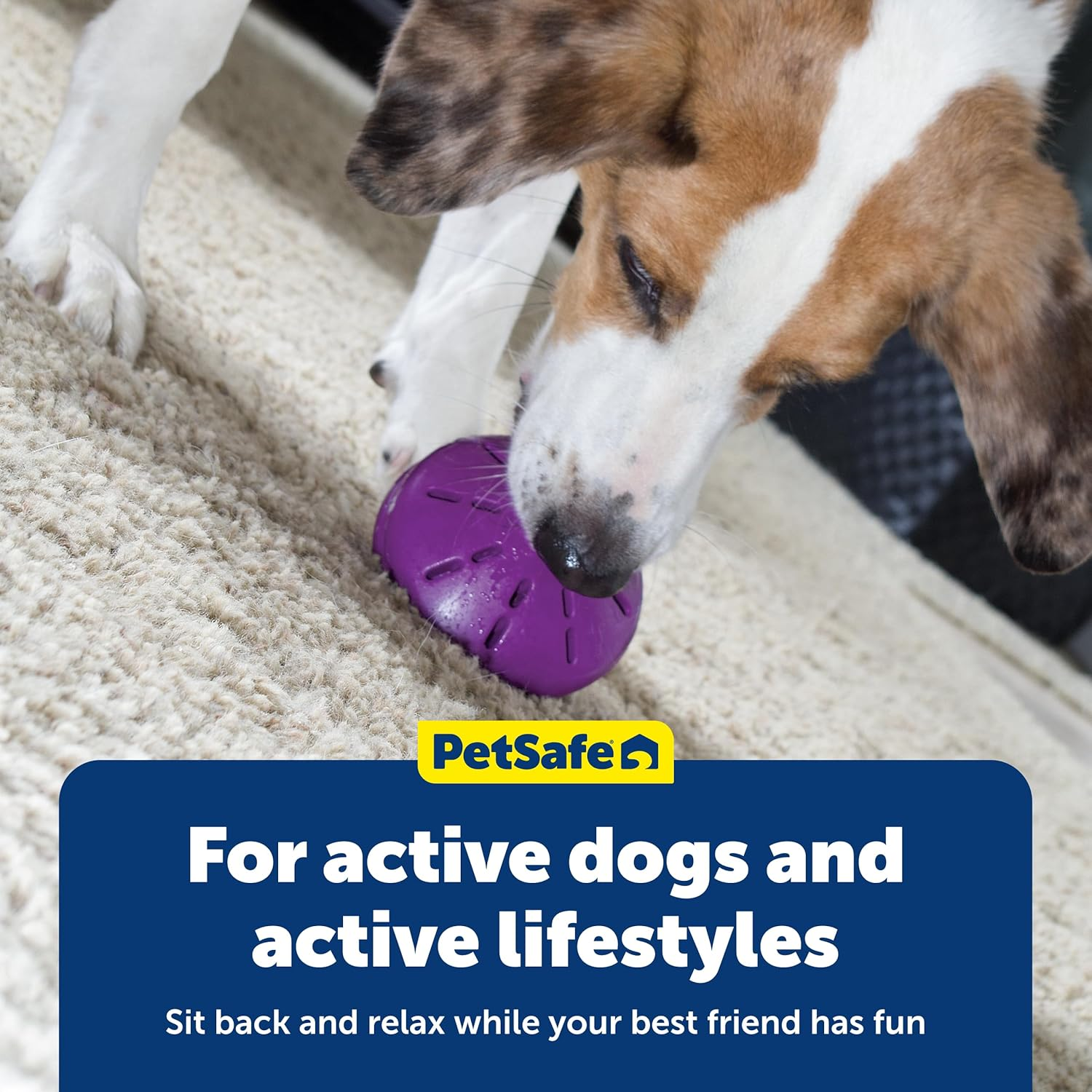 Petsafe Busy Buddy Twist 'N Treat Dispensing Dog Toy - Large image number 3