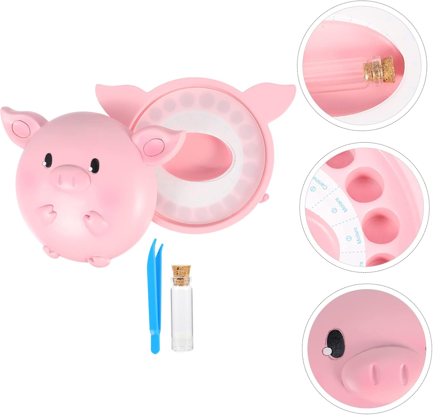 HANABASS Deciduous Tooth Box Cartoon Teeth save Girl Storage Case for Preservation Keepsake for Fairy image number 2