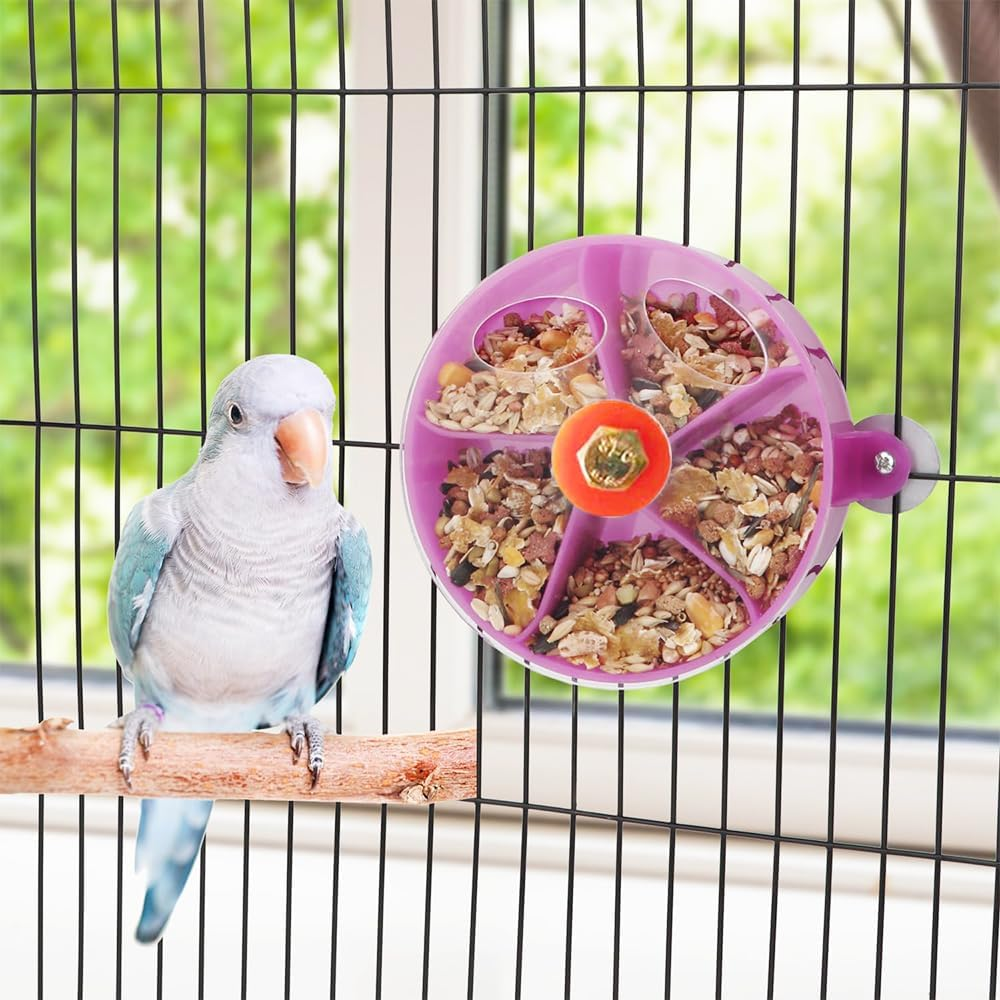 Bird Creative Foraging, System Wheel Seed Food Ball, Bird Foraging Toys,Creative Parrot Food Tray,Parrot Wheel Feeder, Compartmented Food Box for Small and Medium Parrots (Transparent) image number 3