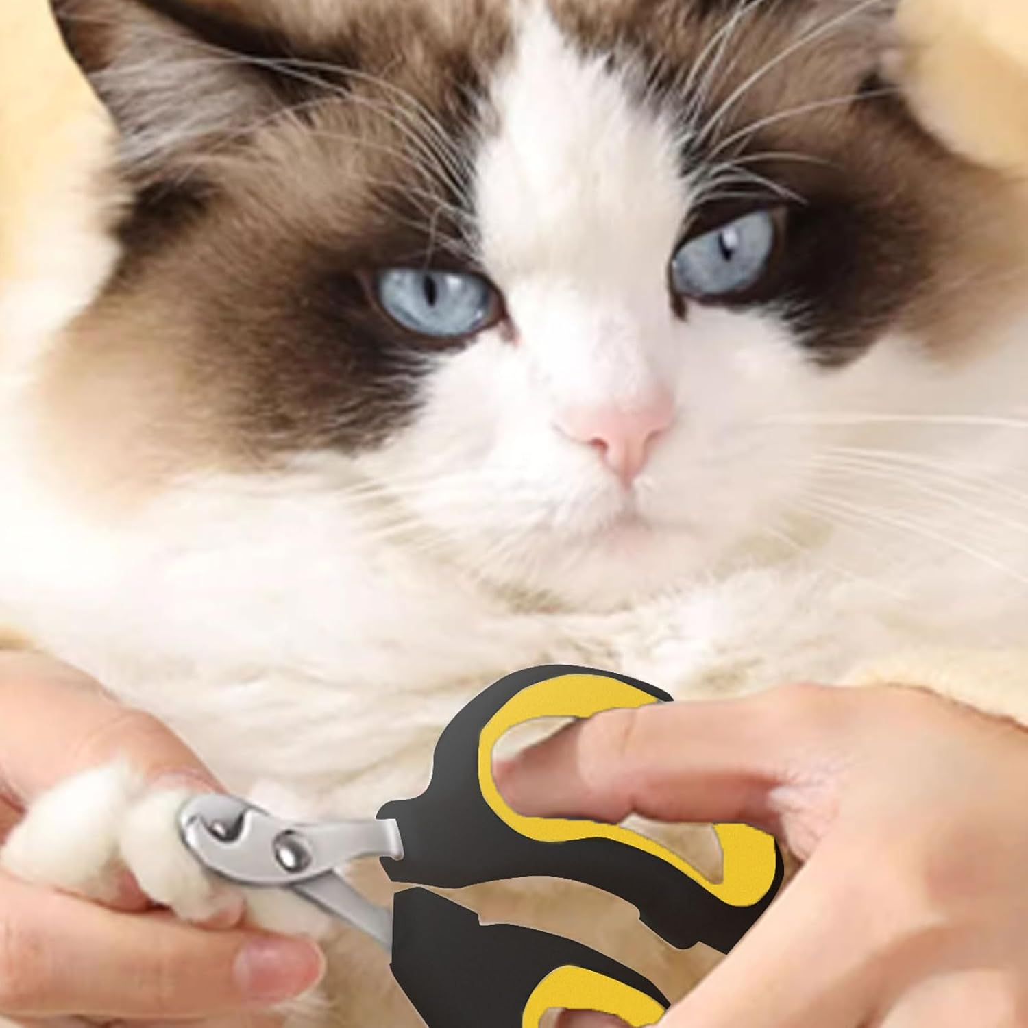 BGENHPON Cat Nail Clipper - Premium Stainless Steel Trimmer for Safe Painless Nail Cutting, 1 Piece, Suitable for Cats, Kittens, Puppies, Birds, Small Pets image number 5