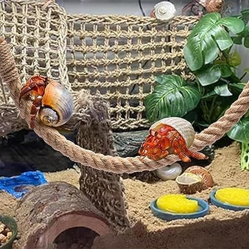 1Pcs Hermit Crab Climbing Jute Rope Ladder with Hooks - 21.6" Reptile Tank Terrarium Accessories for Lizards, Geckos, Snakes - Durable Habitat Decor image number 2