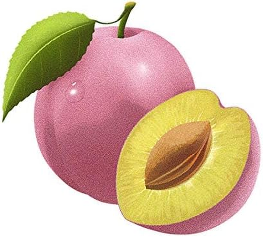 EACH COMBO PACK CONTAINS- 6 BIOTIQUE BIO HIMALAYAN PLUM SOAP REVITALIZING BODY SOAP (150GM) image number 5