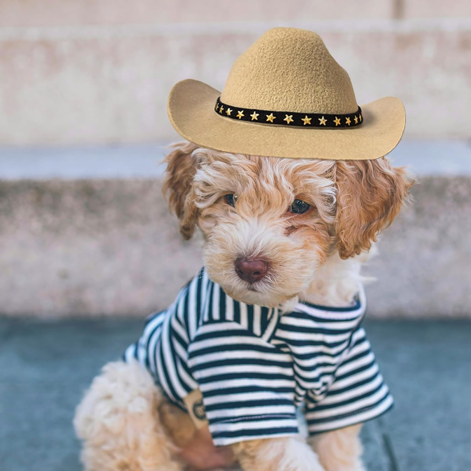 Dog Cowboy Hat Cat Cowboy Hat Mini Cowboy Hat for Dogs Cat Pet Cowboy Costume with Bandana Scarf Holiday Halloween Pet Party Decoration (Khaki, Large) image number 4