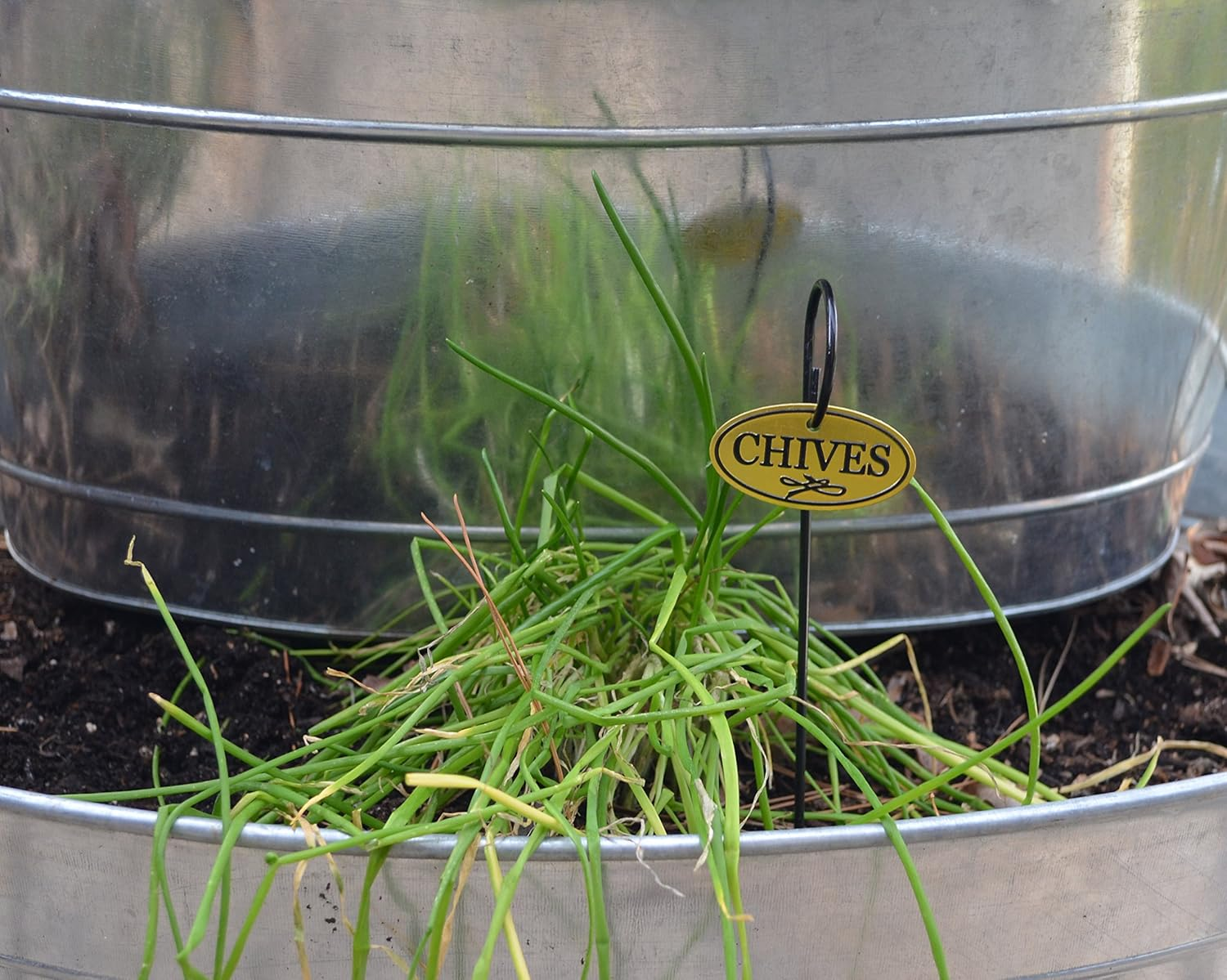 Bosmere H300 Brass Herb Tags with 10" Stakes (Set of 8) image number 2