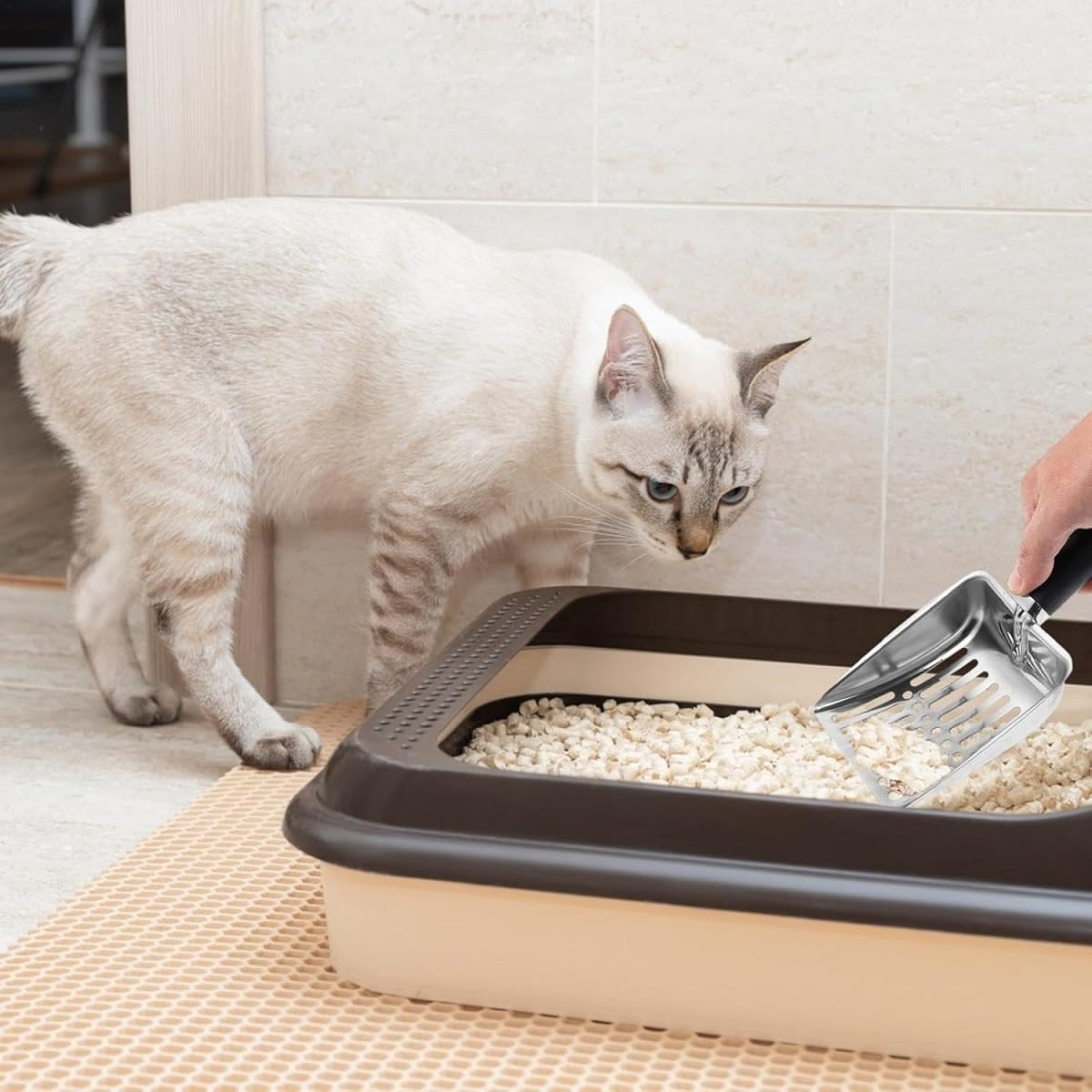 Cat Litter Shovel Metal, Cat Litter Scoop Broom Set, Cat Litter Shovel Cleaning Tool with Plastic Shovel Broom Set, Cat Litter Scoop Set for Pets Cats image number 3