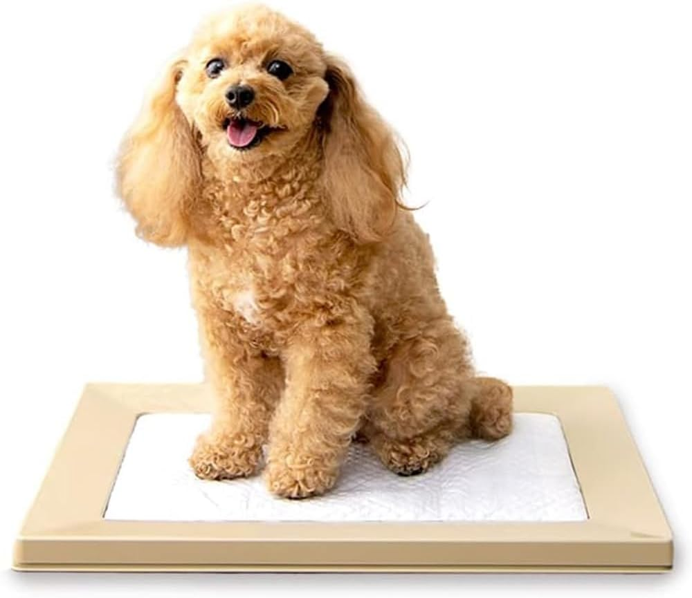 Iris Ohyama Dog Toilet, Square Dog Tray, Just Pinch Magnet, Regular, Light Gray, Washable image number 2