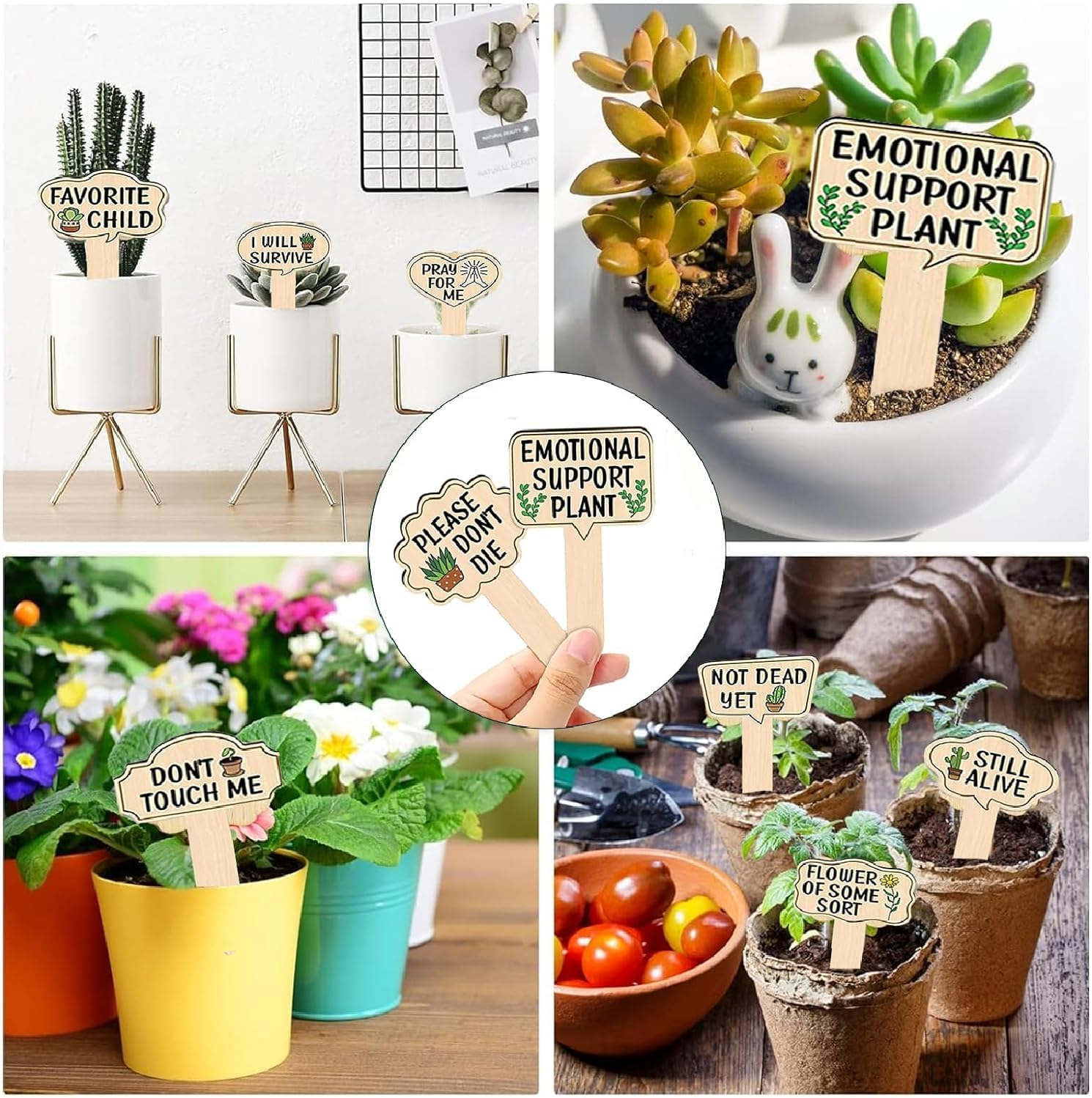 Wooden Plant Markers Plant T Type Tags Garden Labels with Printed, 15Pcs Wooden Plant Markers Plant T Type Tags Plant T-Type Signs with Printed, Wooden T-Type Plant Labels Sign Tags with Printed image number 1
