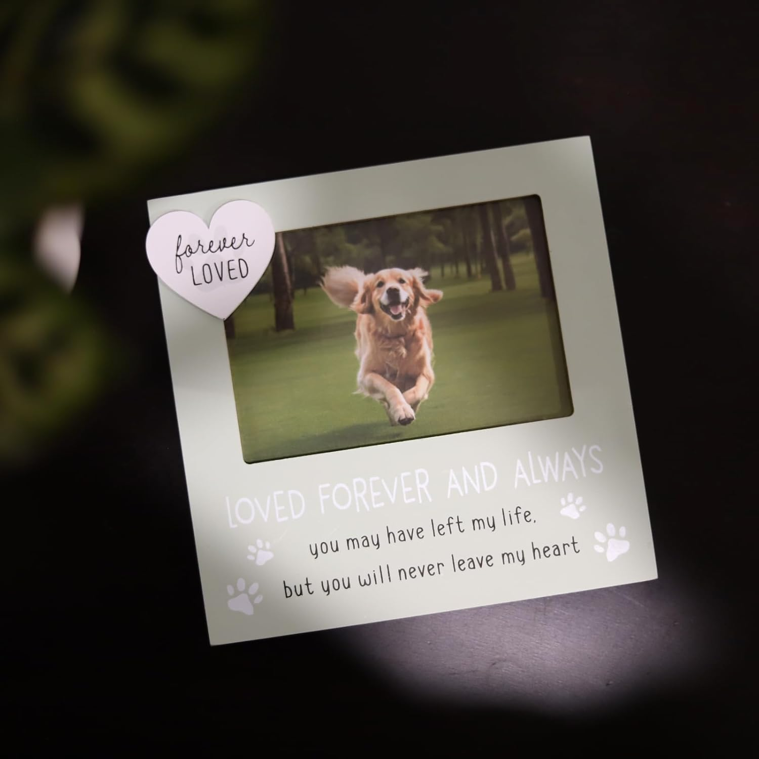 Ballarart CO Pet Memorial Gifts - Cat and Dog Picture Frame - 4X6 Inch Photo Frame for Loss Pet, Sympathy and Remembrance Gift image number 3