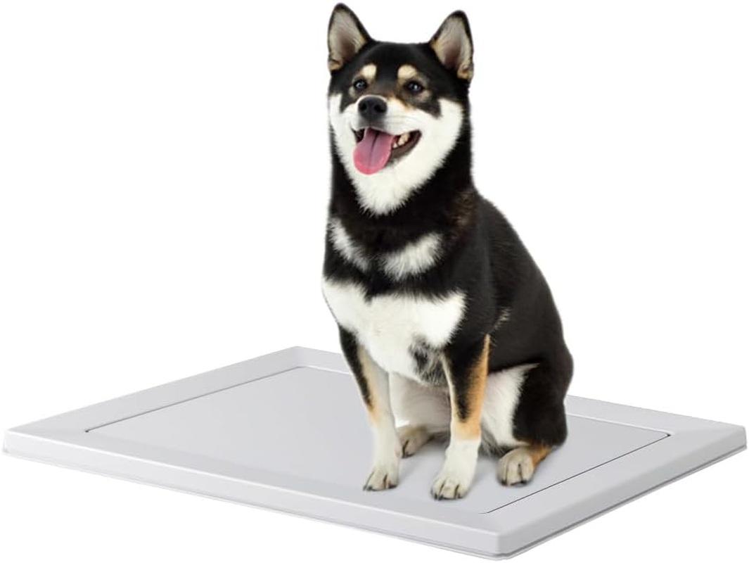 Iris Ohyama Dog Toilet, Square Dog Tray, Just Pinch Magnet, Regular, Light Gray, Washable