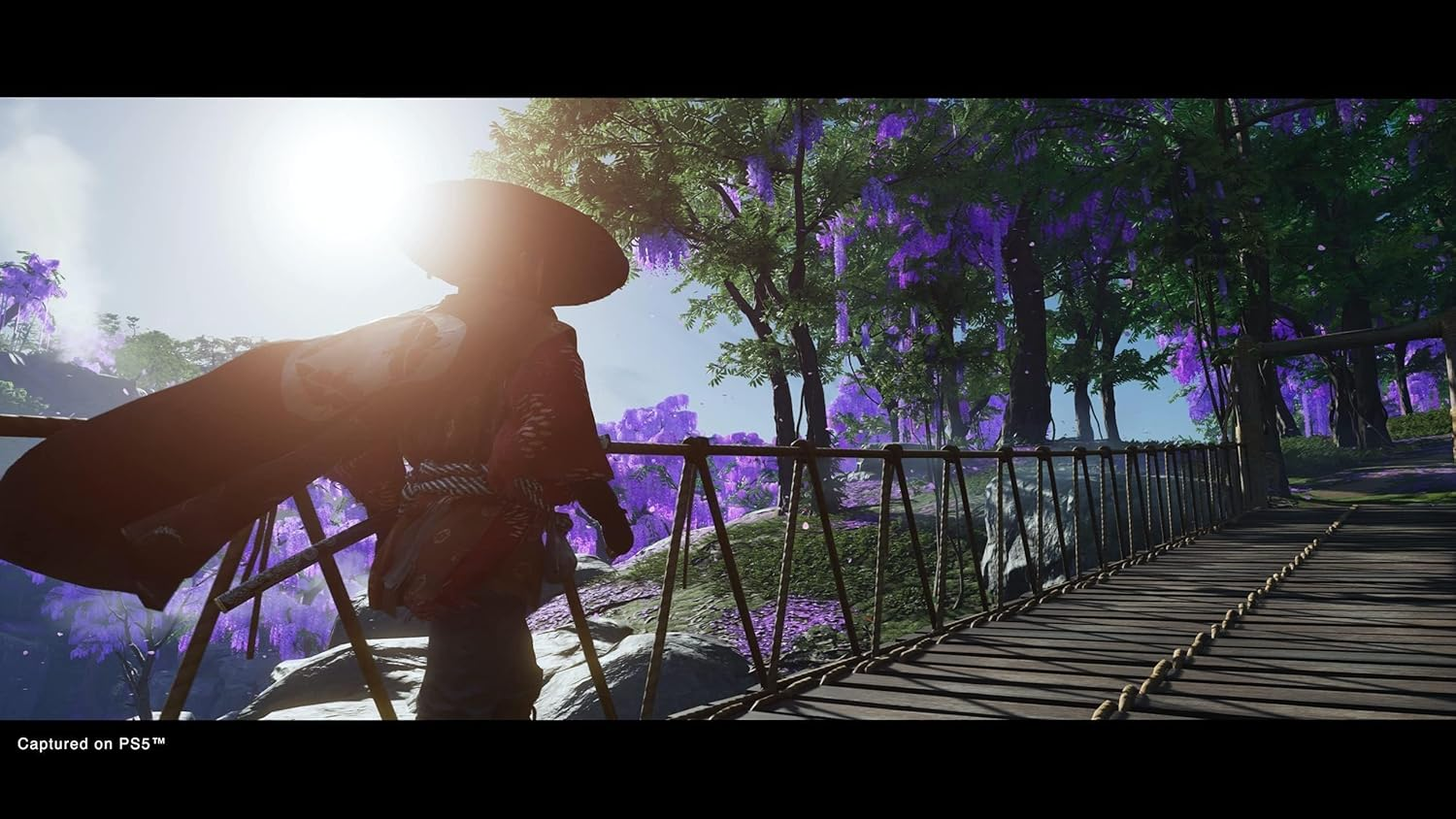 Ghost of Tsushima Director'S Cut (PS5) image number 2