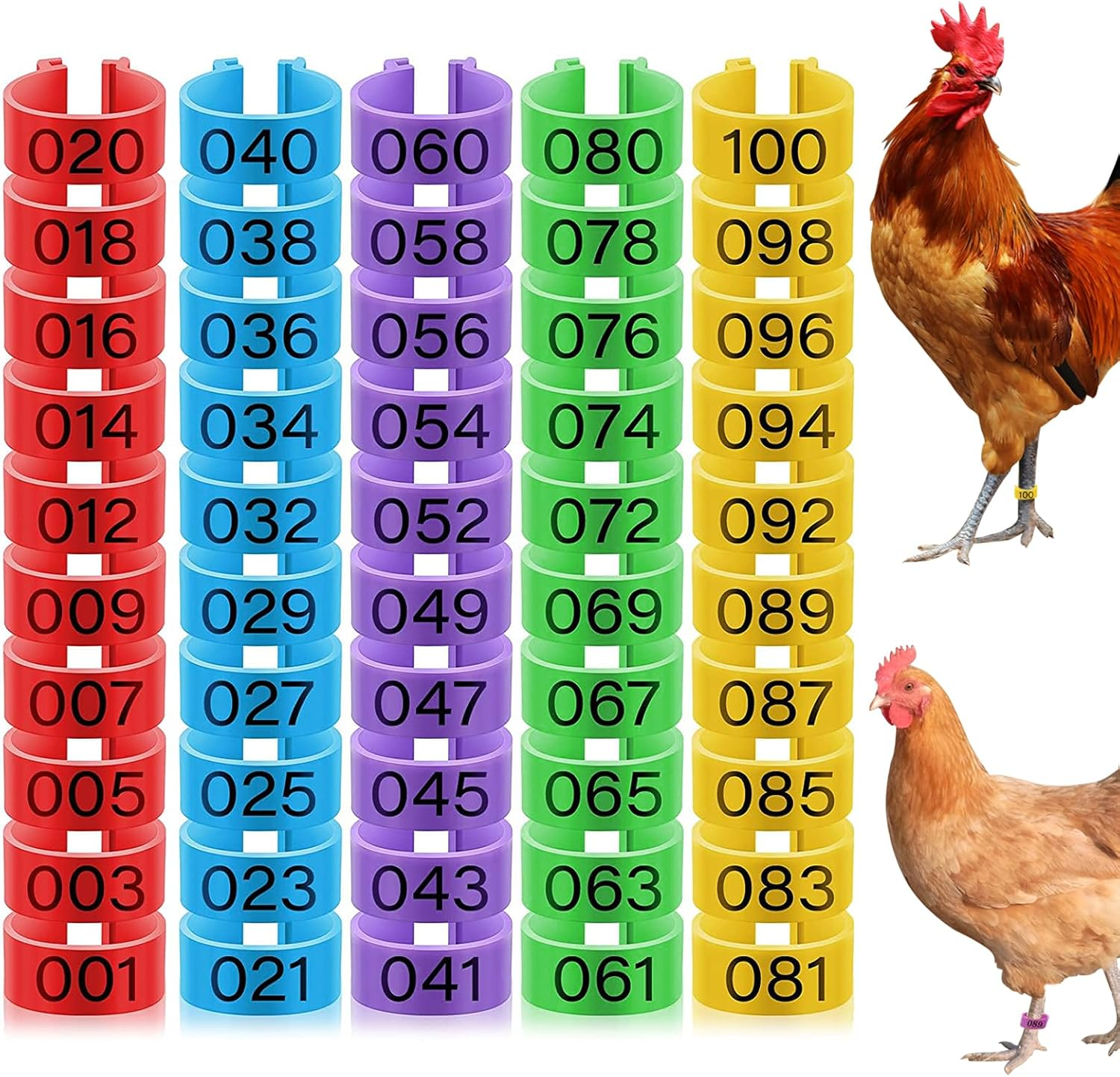 Zalizr 100 Pcs Chicken Leg Bands, 20Mm Colorful Numbered Poultry Identification Tags, Durable Plastic Leg Bands for Chickens, Ducks, Geese, Turkeys, and Gamefowl image number 6