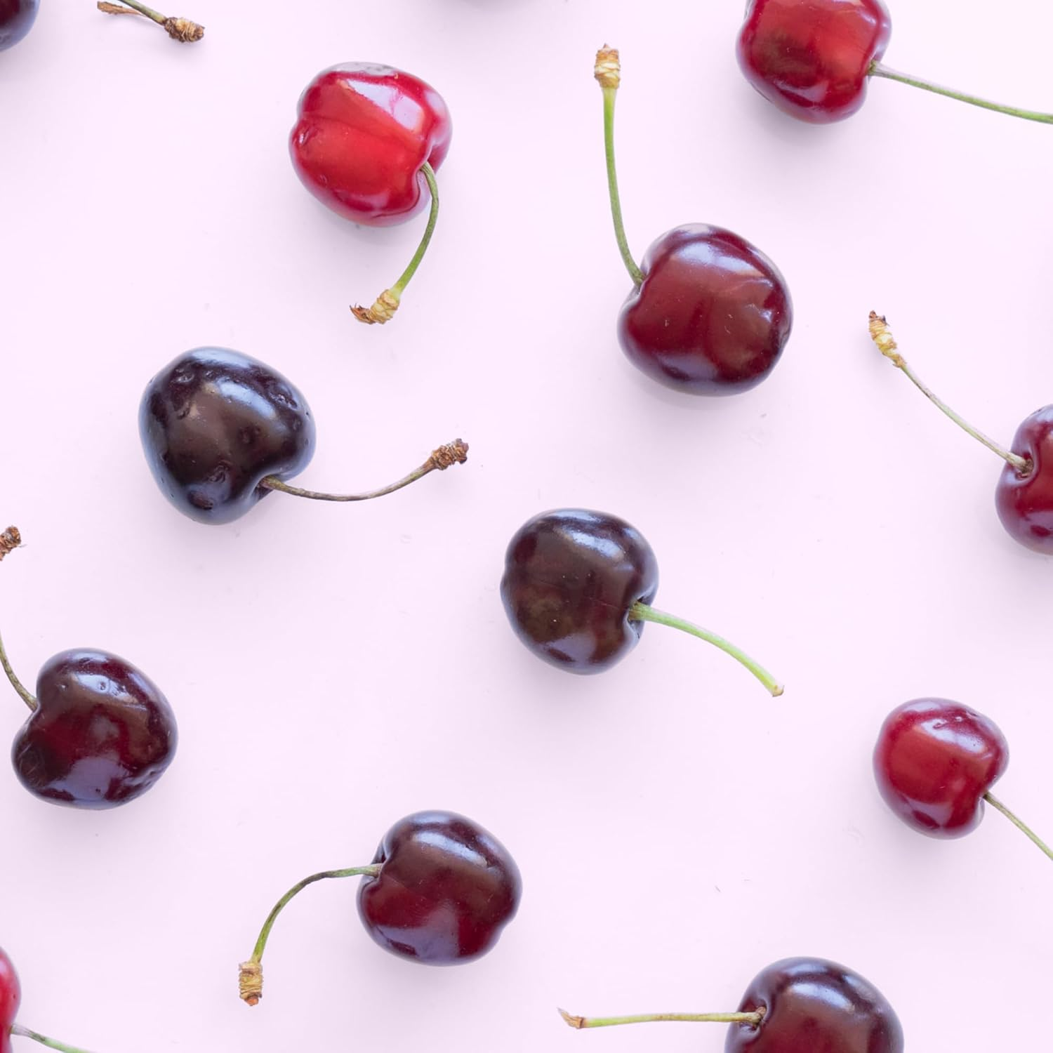 LITTLE URCHIN 100% Natural Lip Balm Cherry & Kakadu Plum 4G &ndash; Lip Care with Beeswax, Coconut Oil, Shea Butter & Vitamin E &ndash; Ultra-Hydrating & Nourishing Lip Moisturiser | Australian Made