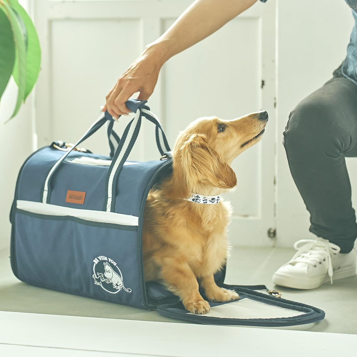 Marushin 1425038200 Moomin Carry Bag for Pets and Dogs image number 1