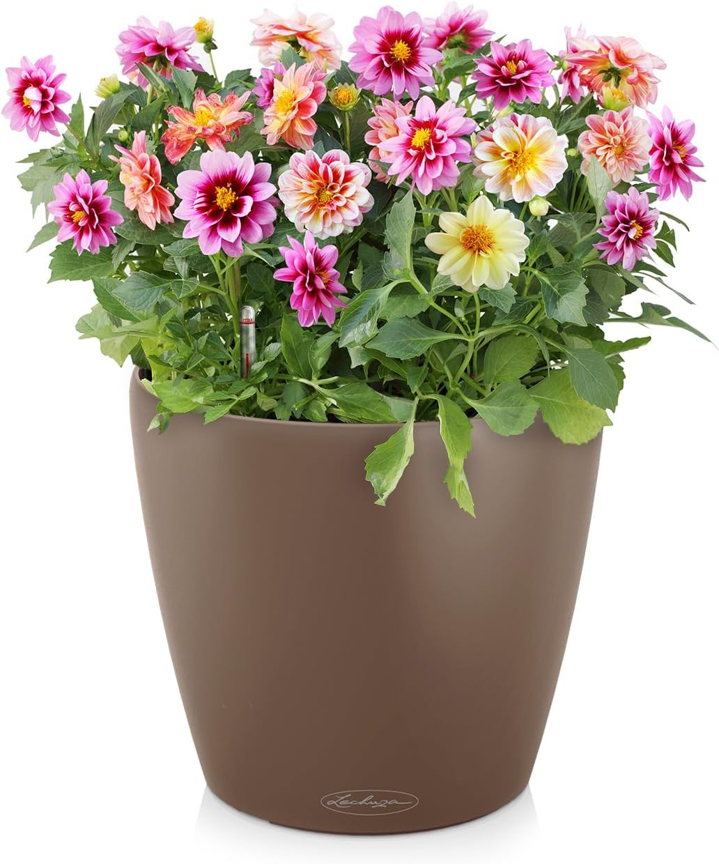 LECHUZA Self Watering Plant Pot Classico Color 18 Garden Small Flower Indoor Outdoor Table Plastic Planter with Drainage Hole D19 H17 Cm Nutmeg - Slate image number 4