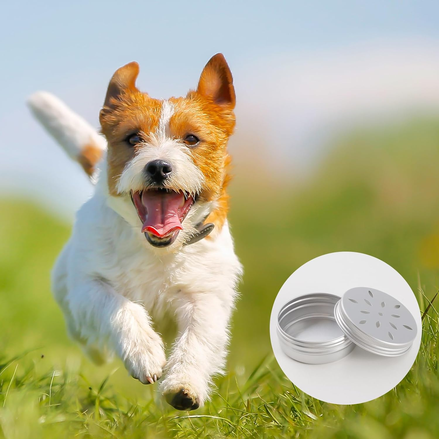 12 Pack Scent Training for Dogs Scent Dog Scent Work Tins Small Dog Food Container Nose Work Supplies for Scent Training, Aluminum Dog Scent Boxes