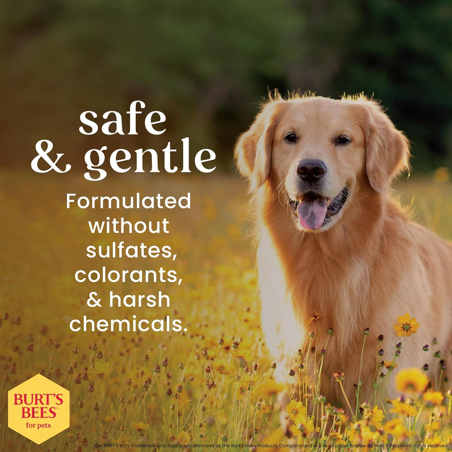Burt'S Bees for Pets Detangling Spray for Dogs with Lemon and Linseed Oil, 99.7% Natural Origin Formulas, Waterless Canine Shampoo - Gentle Dry Cleanser for Pups 10 Oz image number 5