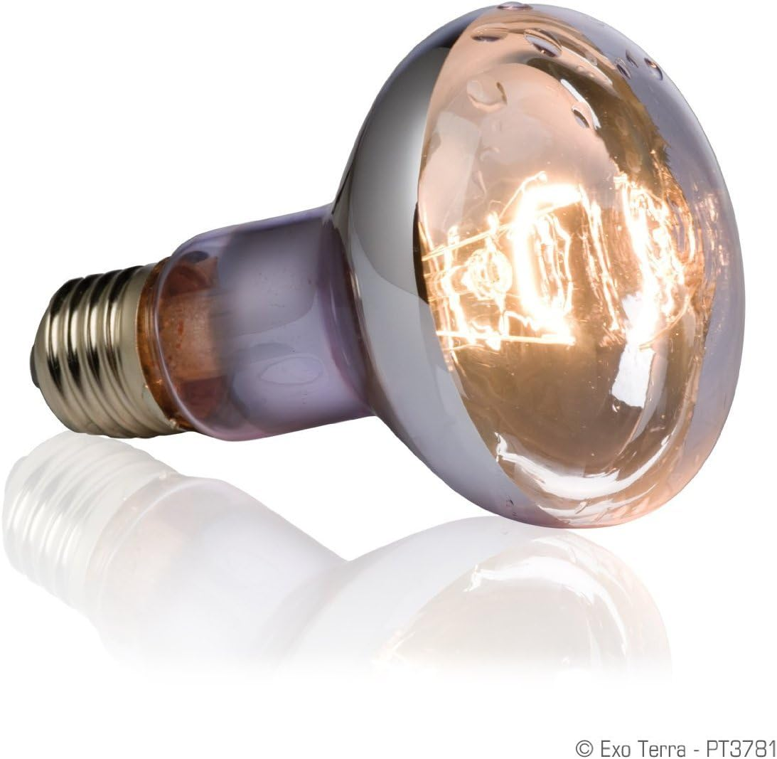 Exo Terra Swamp Basking Spot Bulb, 75 Watt image number 2