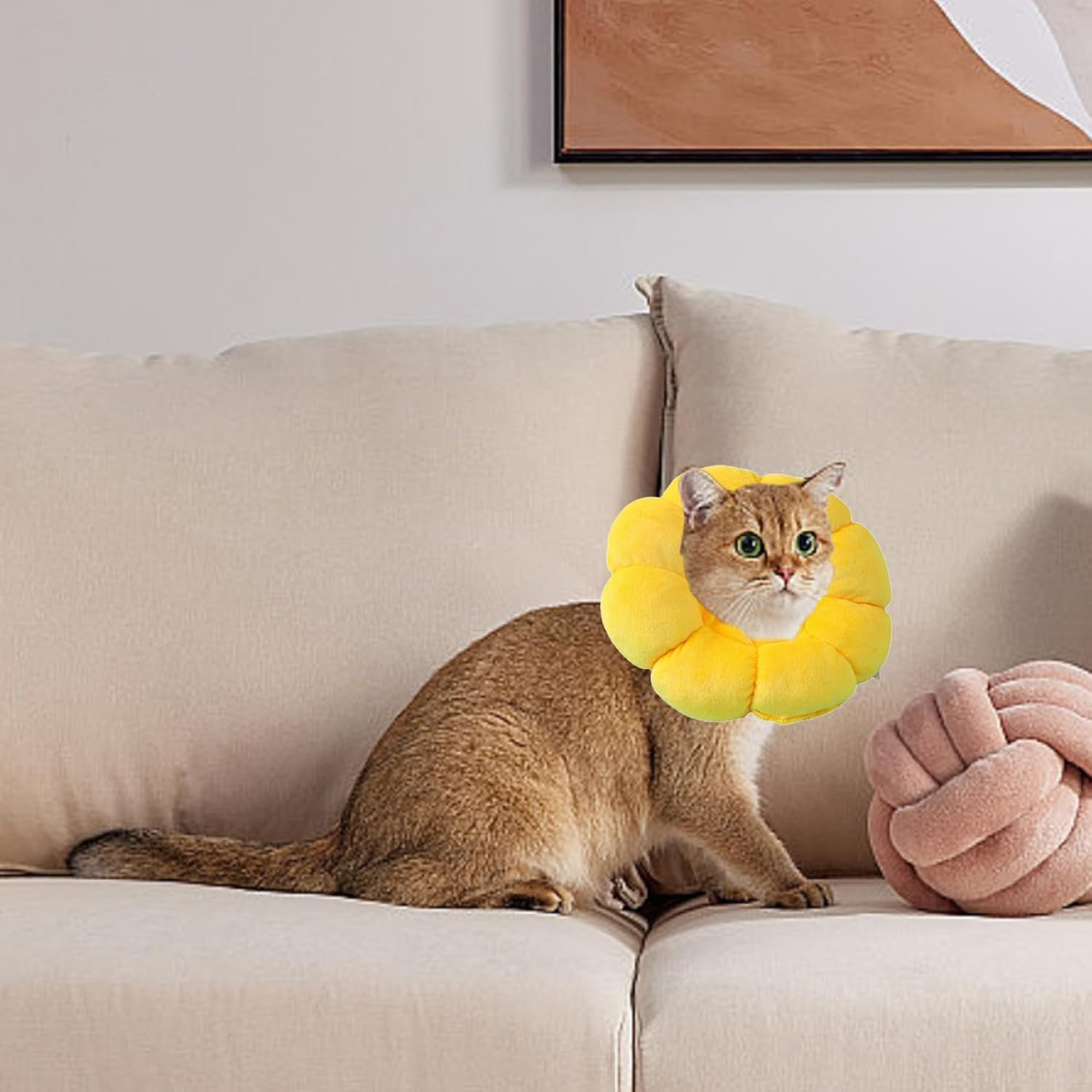 Sunflower Cat Collar, Cat Collar, Cat Collar, Soft Cat Collar, Cat Collar, Leak Protection Cat, Collars for Cats, Collar Cat, Suitable for Dogs and Cats after Surgery image number 5