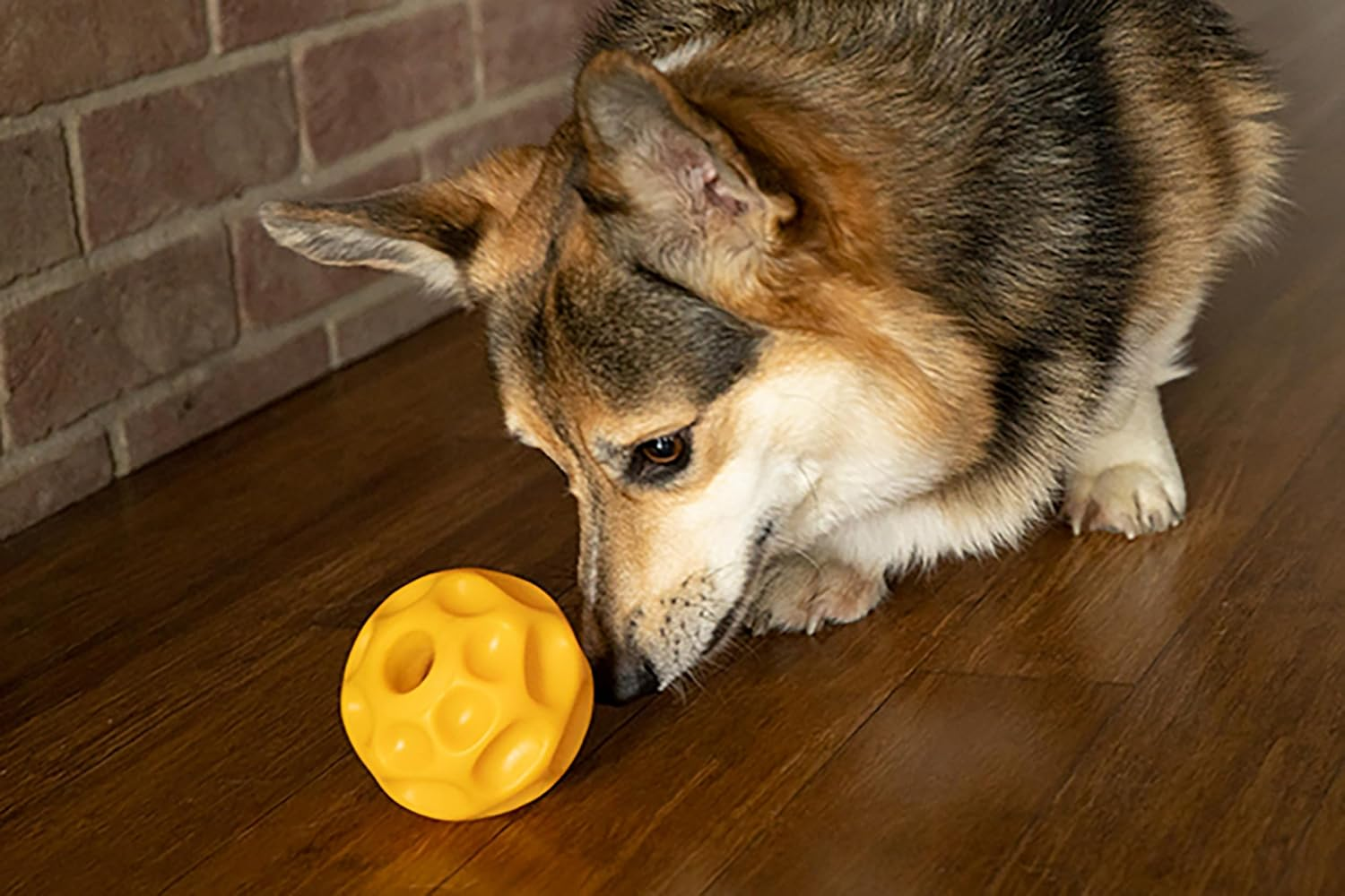 Starmark Treat Dispenser for Dog, Small image number 4