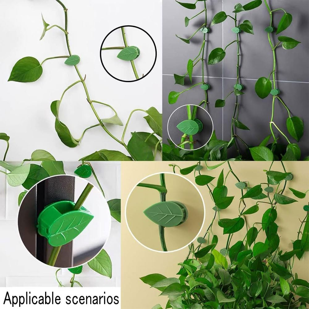 30 Pieces Plant Climbing Wall Fixture Clips with 36 Pieces Acrylic Adhesive Sticker Leaf Fixer Invisible Wall Vines Fixing Clips Self-Adhesive Hook Plant Vine Traction for Indoor Outdoor Decoration image number 6