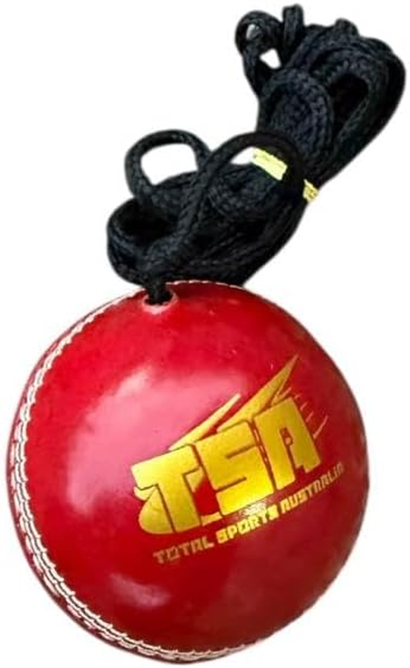 Super Trainer Leather Hanging Training Cricket Ball (For Practice & Bat Knocking) image number 1
