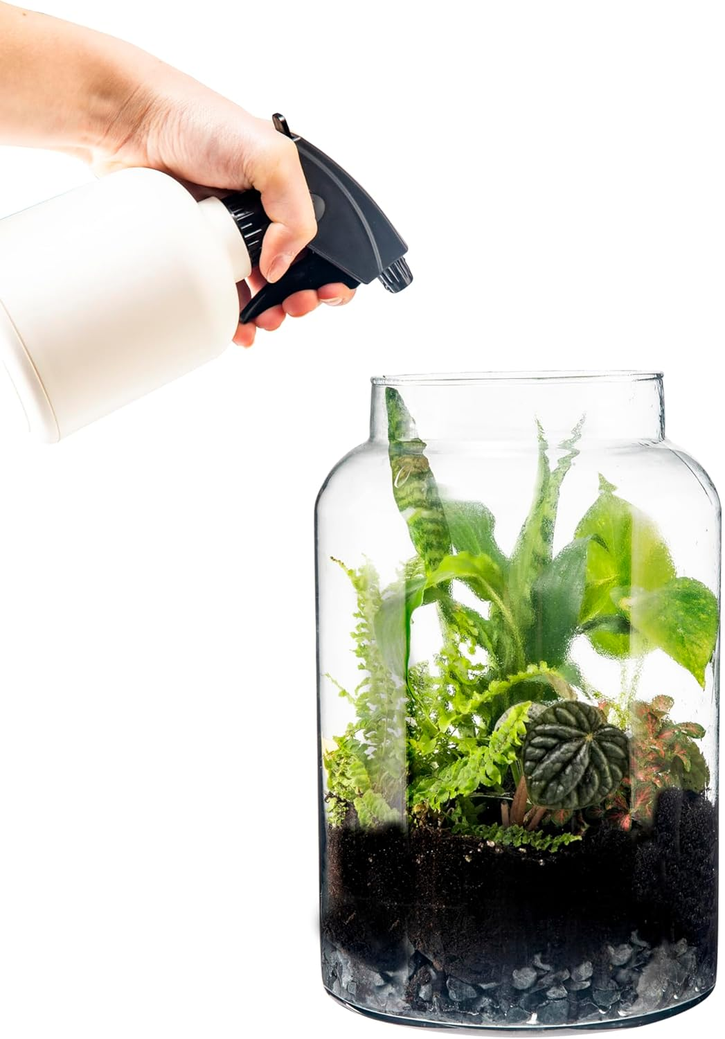 Generic Terrarium Glass Bottle with Lid, Clear, Medium image number 2