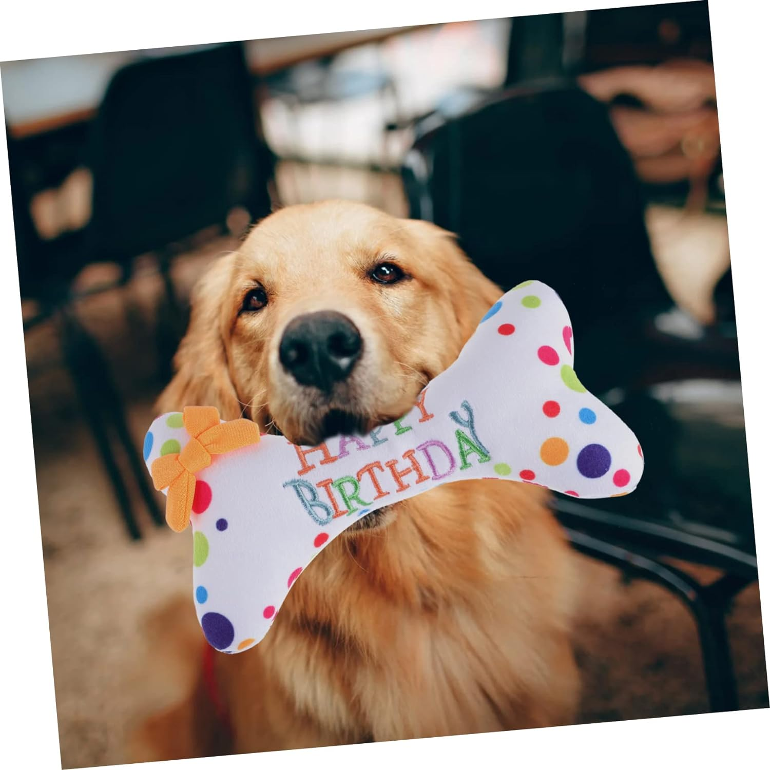 Hohopeti Dog Birthday Plush Toy Cute Party Supplies Squeaky Dog Toy for Chewing and Fun Present image number 1