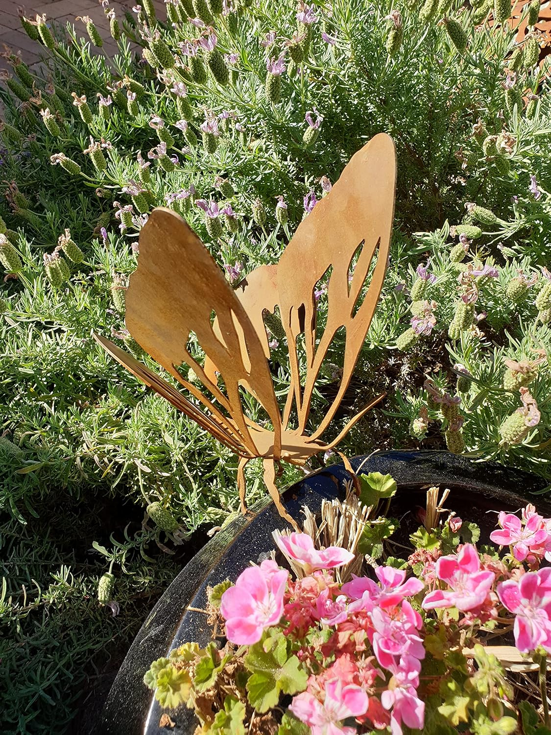 Butterfly #2 - Australian Made Rusted Metal Garden Art image number 1