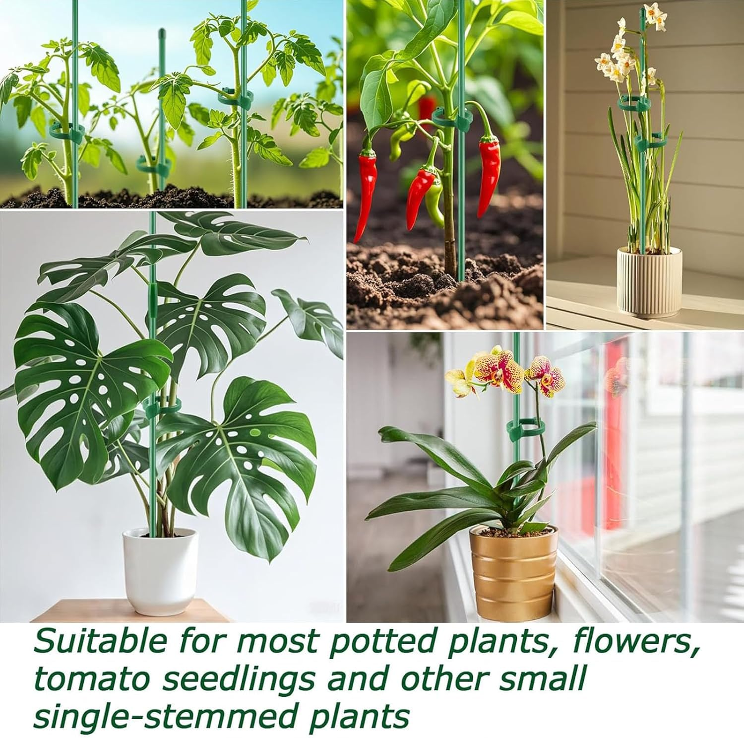 SYGELER Plant Stake Support,20 Pcs Plant Sticks,Adjustable Garden Stakes,Garden Green Bendable Single Stem Plant Support Stakes for Indoor and Outdoor Plants,Potted Plants,Flowers,Orchid