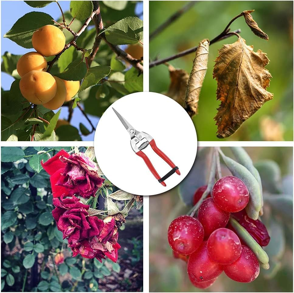 2 Pcs Sturdy Pruning Shear Garden Scissors Gardening Snips Professional Micro-Tip Pruning Tool for Arranging Flowers, Trimming image number 3