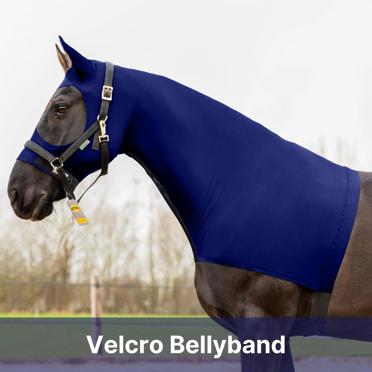 Resistance Horse Hood Slinky Lycra Zippered Mane Braid Shoulder Guard - Horse Sleazy Slickers Care Sheet image number 7