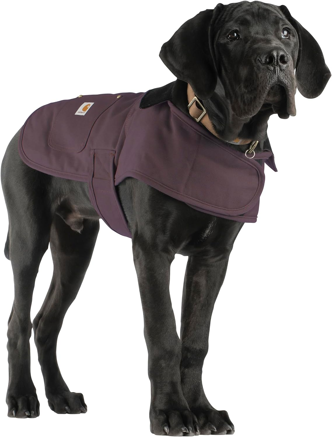 Carhartt Firm Duck Insulated Dog Chore Coat, Deep Wine, Large image number 5