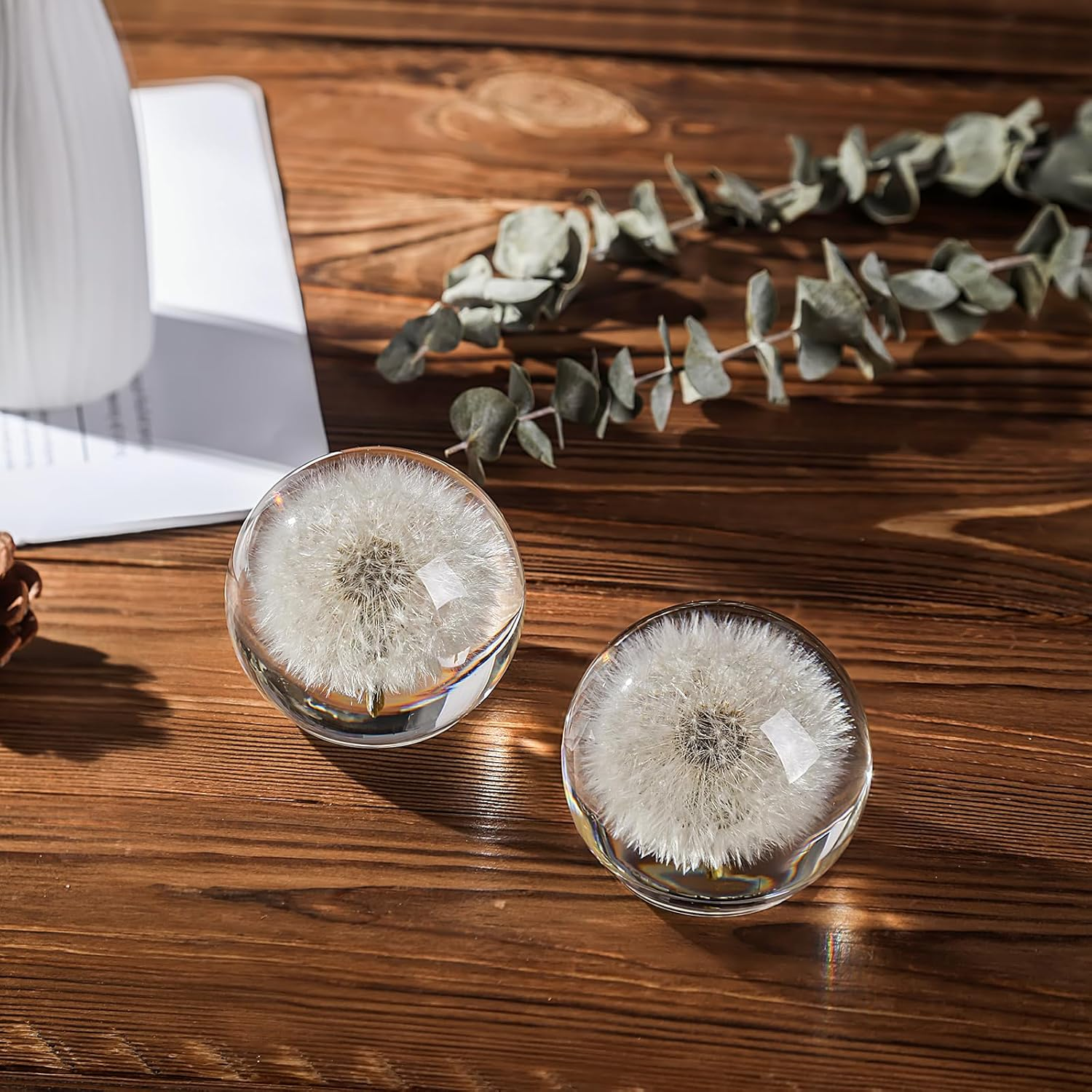 Dandelion Paperweight in Crystal Glass &ndash; Real Preserved Dandelion, Symbol of Hope, Luck, or New Beginnings &ndash; Elegant Gift with Gift Box & Card (Dandelion, 65 Mm) image number 4