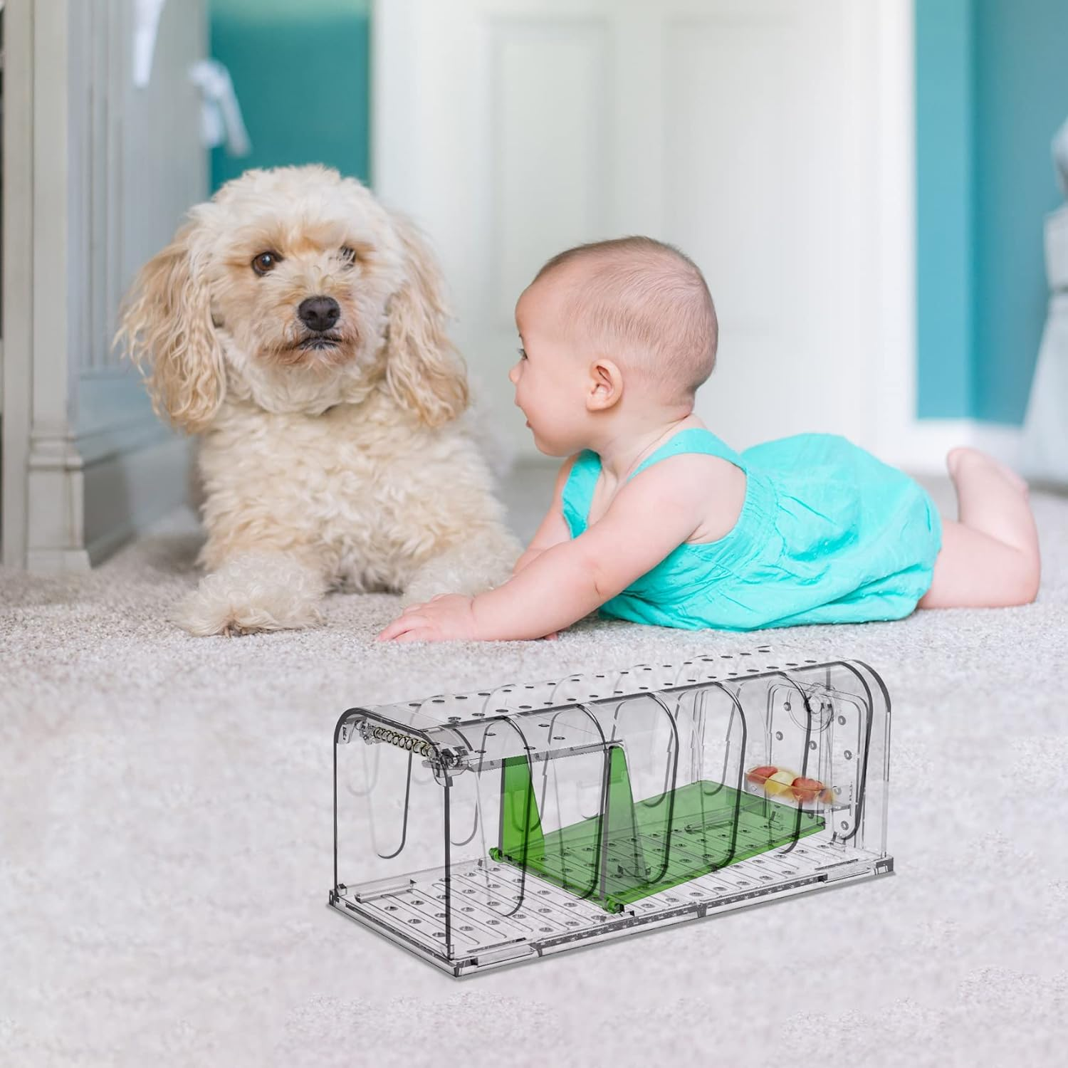 Drasry Mousetrap Indoor Mousetrap Humane Mousetrap Safe for Kids and Pets Catch and Release Reusable Indoor and Outdoor Easy to Set up and Clean Small Rodents 2 Packs (Small)