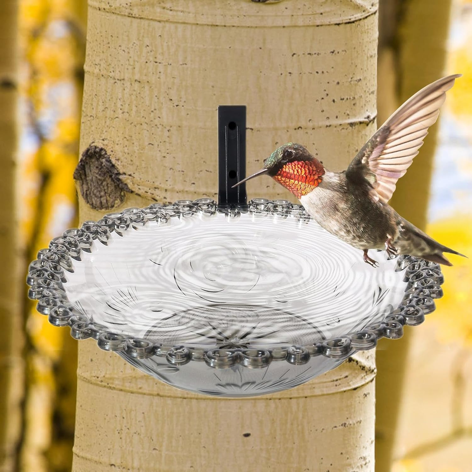 Bird Bath, Garden Bird Bathroom | 9" Wall Mounted Outdoor Bird Bath | Flower Shaped Animal Meat Feeder, Climate Transparent Basin Bird Bath, Outdoor Bird Bath, Bird Bath with 9" Tree Mounted For