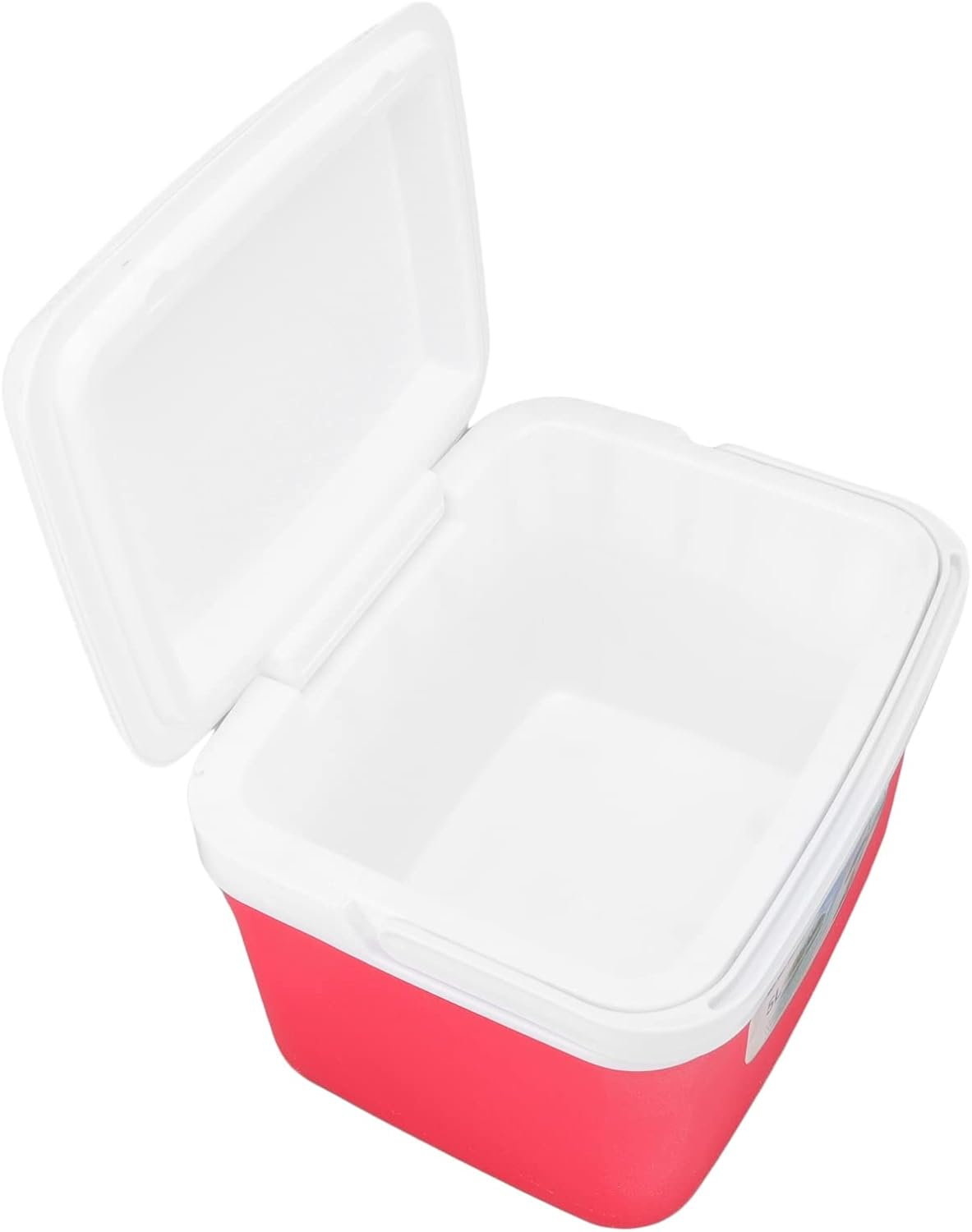 Portable Cooler, 5L Insulated Ice Box Warmer Cooler with Handle, 5 Ice Bags Long Lasting Outdoor Cooler Lunch Cooler for Camping, Picnic, Beach, Work, Trip, Fishing, BBQ, Car