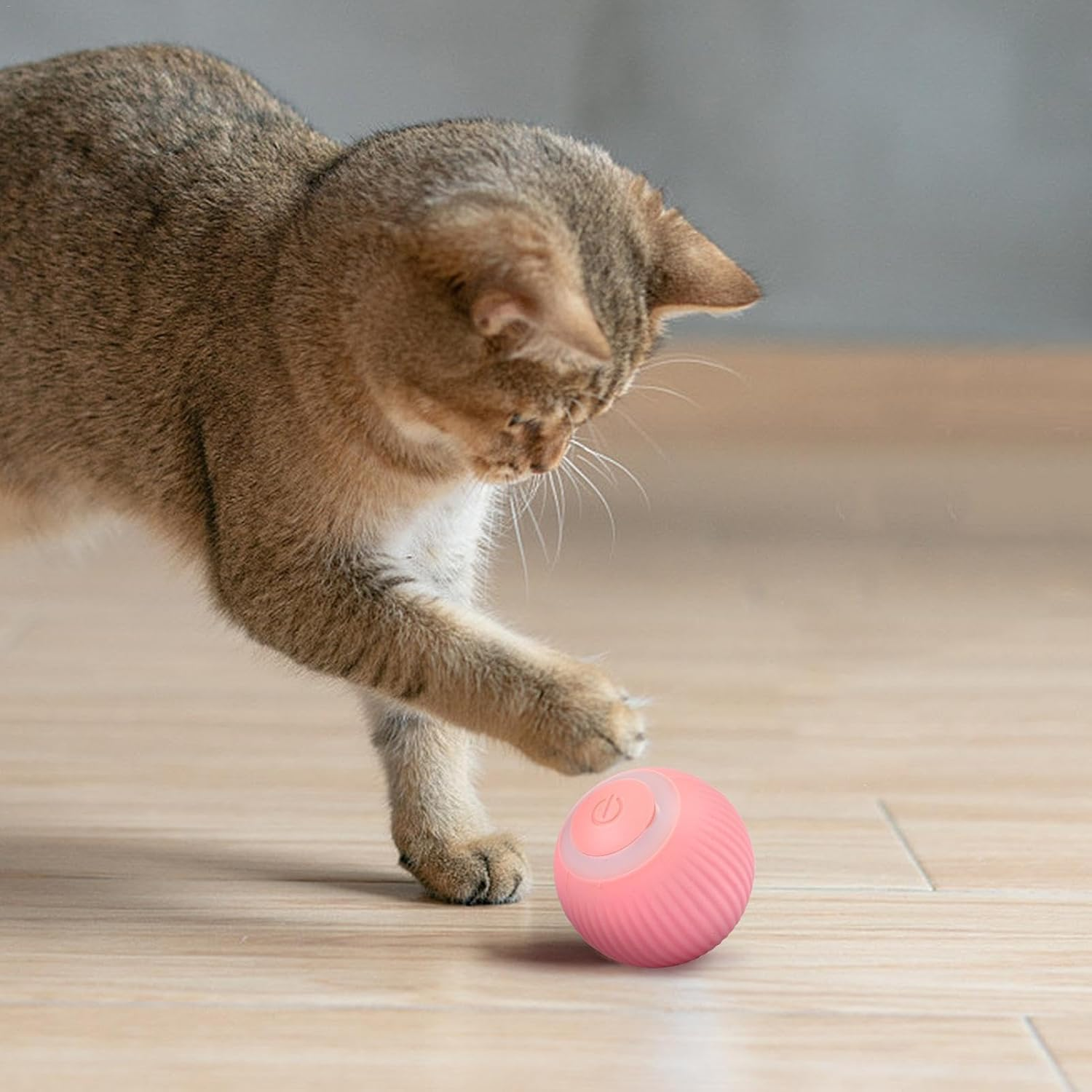 Cat Ball 2.0, Power Ball 2.0 Cat Toy, Ball for Dogs Cat, Interactive Hunting Cat Toy, Intelligent 360 Degree Active Moving Pet Ball Toy, Rolling Smart Electronic Dog Cat Ball Toy image number 2