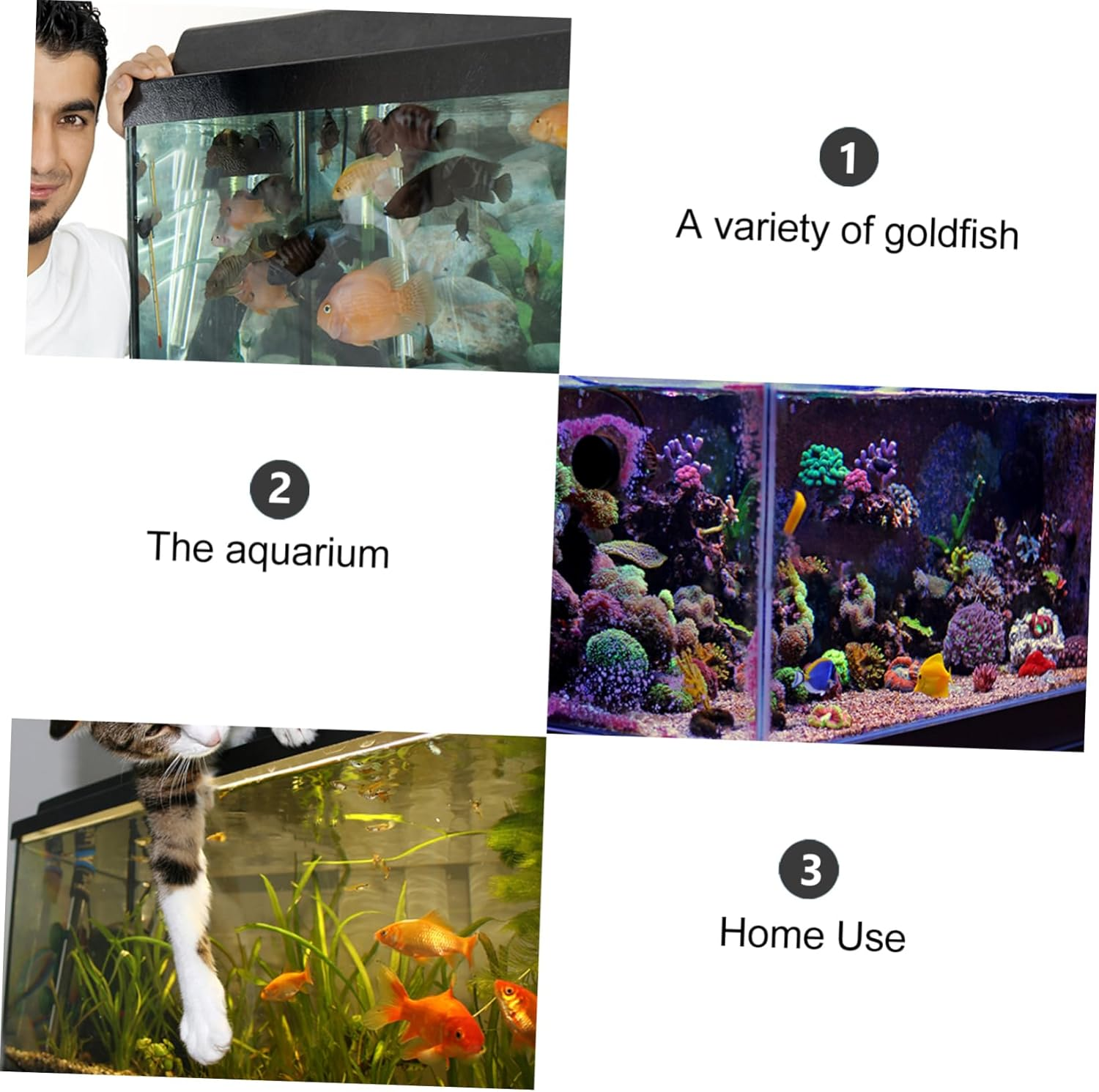 BUGUUYO Fish Hatchery Incubator 2Pcs 50Mm Egg Tumbler for Aquarium Cichlids Breeding Mouth-Brooding Fish Tank Accessories Suitable for Aquatic Pets and Random Color