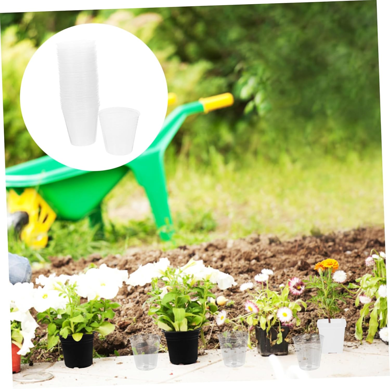 BESPORTBLE 200Pcs Plastic Plants Nursery Pots for Succulent Plants for Indoor Gardening Small Flower Pots Drainage image number 5