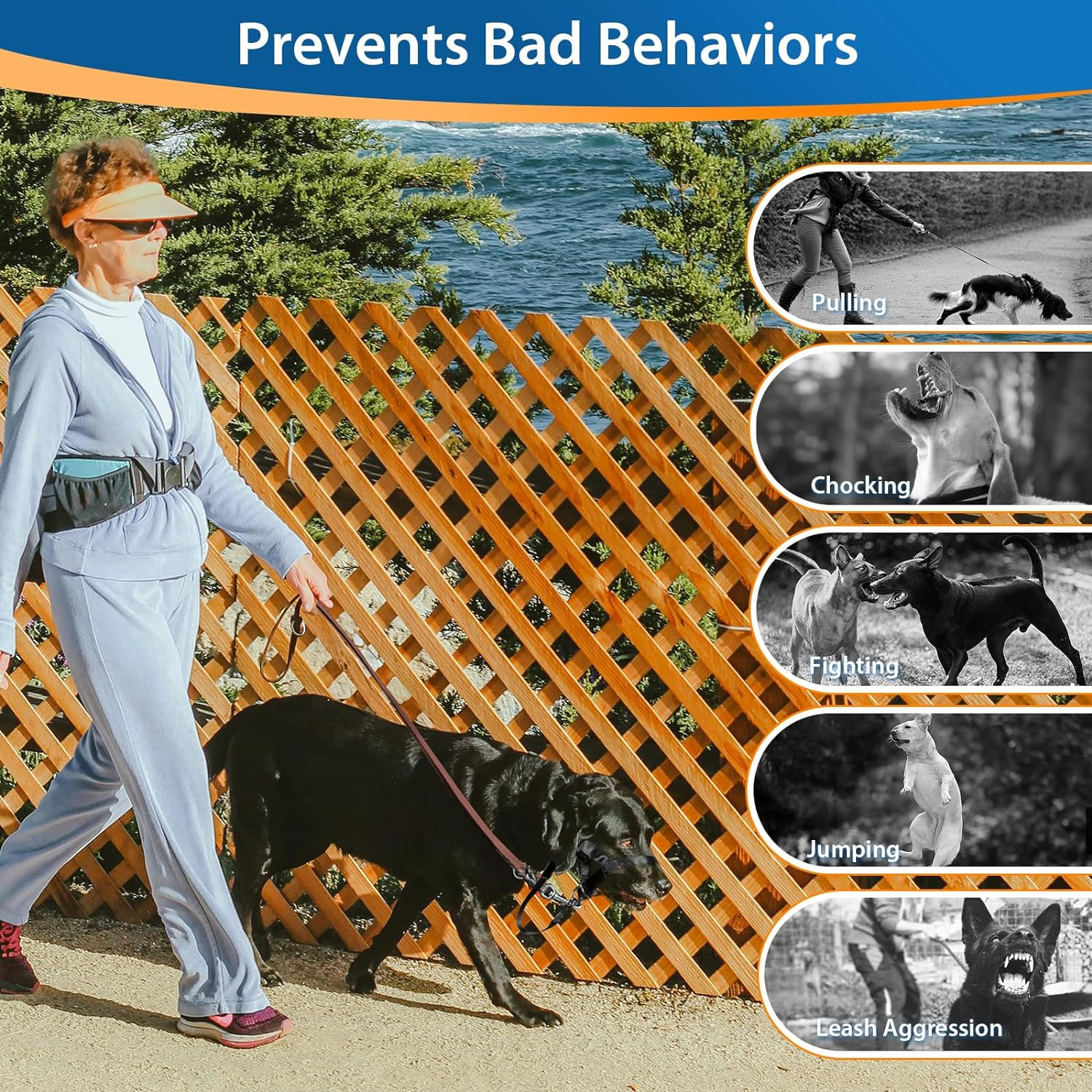 Barkless Dog Head Collar, No Pull Training Tool for Dogs on Walks, Includes Free Training Guide, 5 (M, Black) image number 7