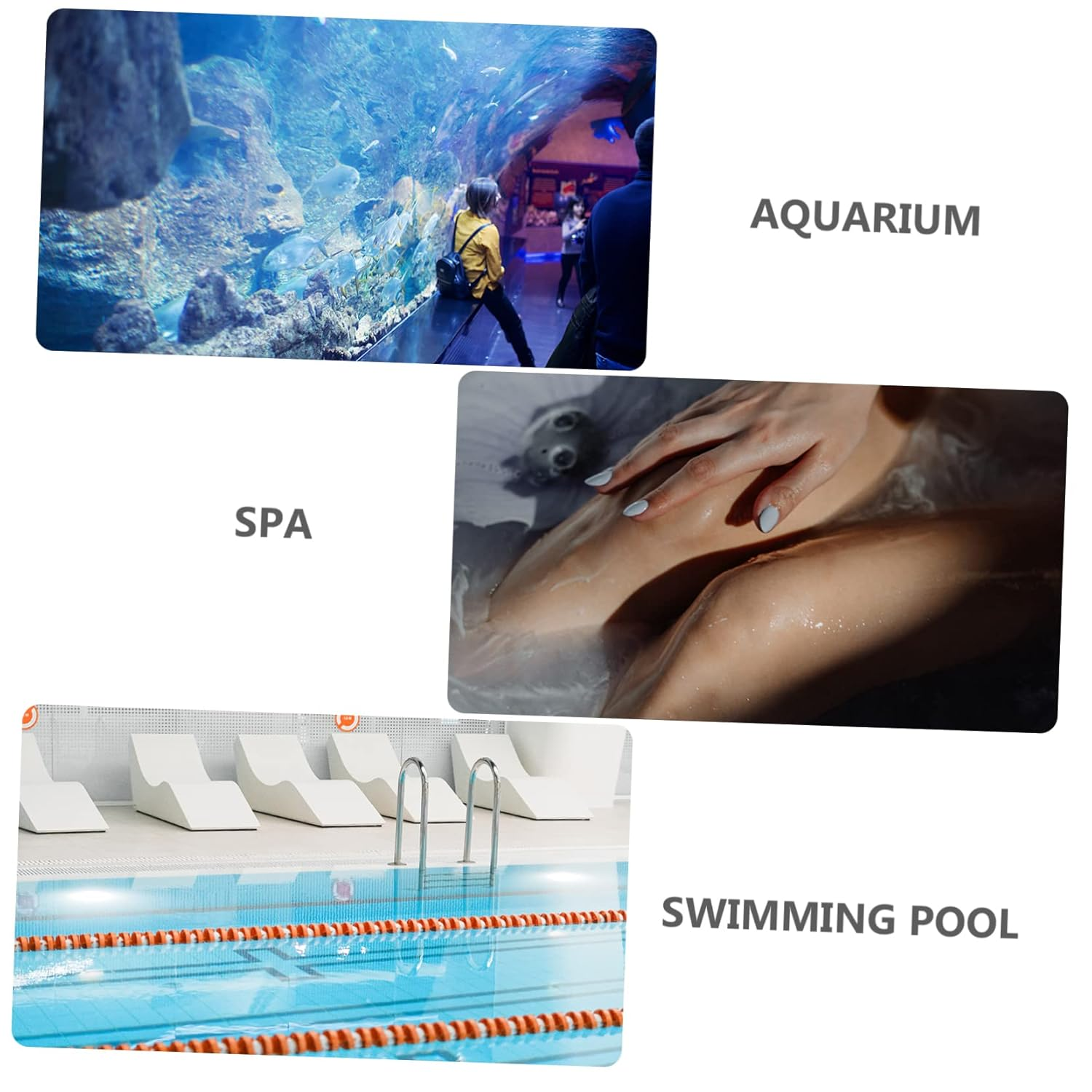 BESPORTBLE 50Mm Water Pressure Gauge 0-60Psi Pressure Gauge for Swimming Pool for Home and Park Use image number 1