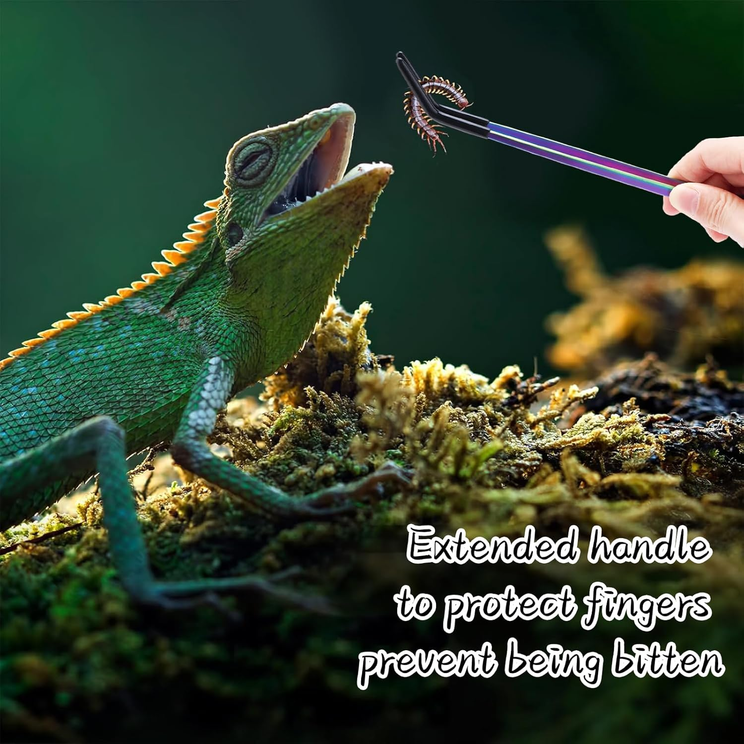 2PCS Stainless Steel Reptile Feeding Tongs with Rubber Tip, 10.6" Straight & Curved Long Tweezers, Perfect for Aquariums & Crafts - Ideal Bearded Dragon & Snake Tank Accessories, Terrarium Supplies image number 1