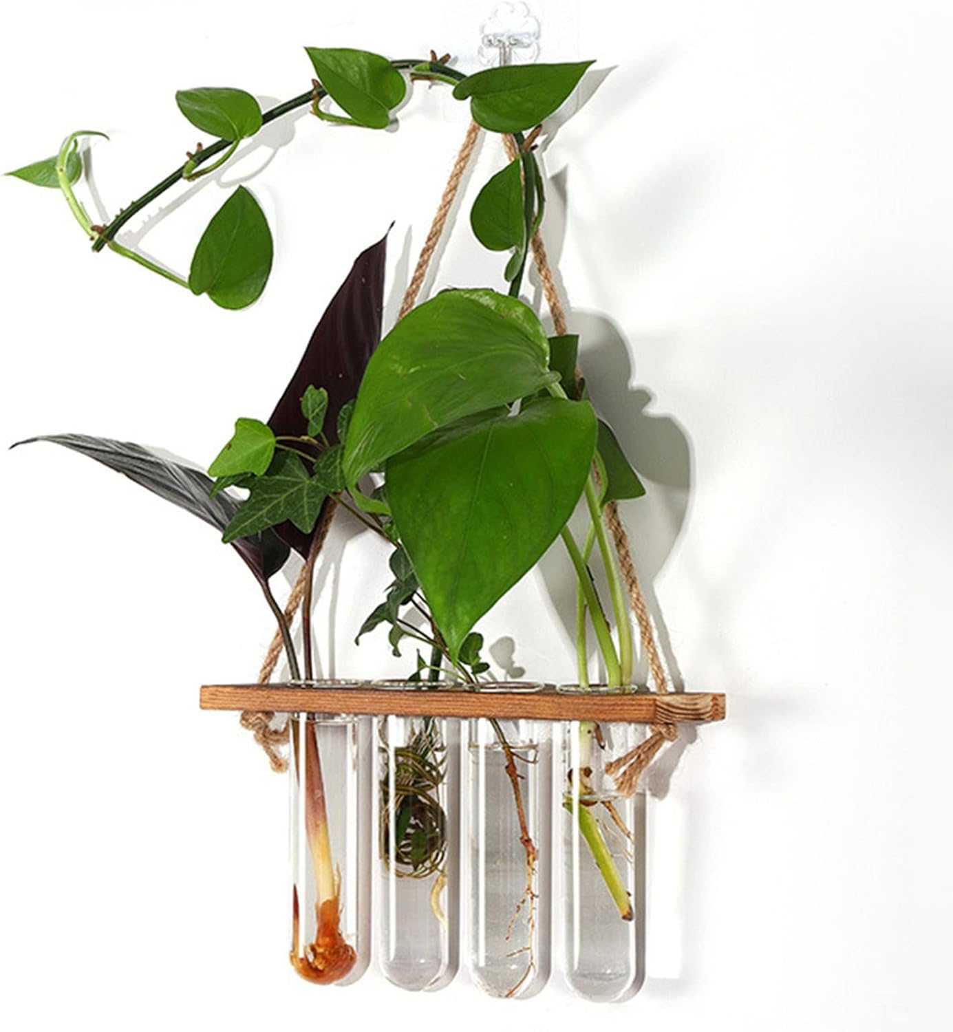 Plant Propagation Station, Wall Hanging Plant Terrarium with Wooden Stand Glass Planter Test Tube Plant Hanger Flower Vases for Hydroponic Plants Cutting Flower, Home Decoration (Retro Color) image number 2