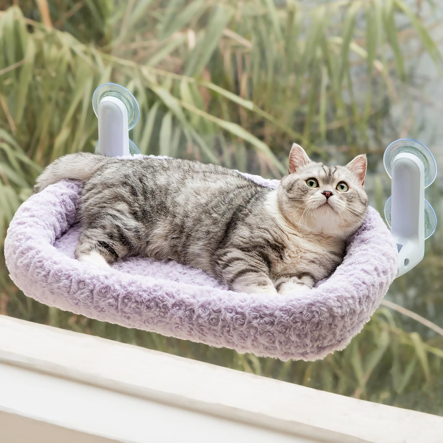 Cat Window Bed & Hammock Perch for Indoor Cats - Foldable Reversible Window Bed, Cat Window Hammock with Upgrade Strong Suction Cups, Sturdy Holds up to 18Kg (Purple, M)