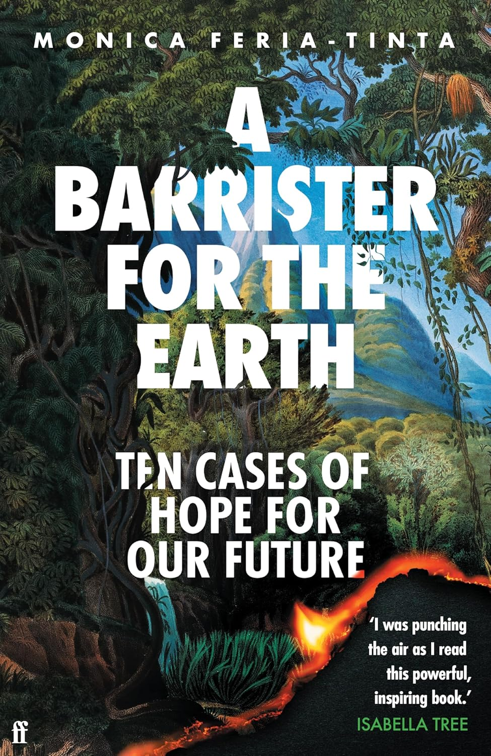 A Barrister for the Earth: Ten Cases of Hope for Our Future image number 2