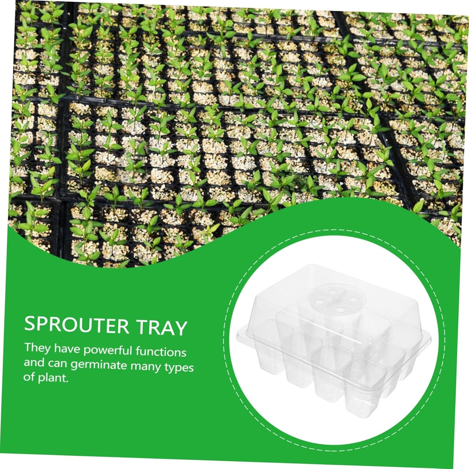 SUPVOX 5Pcs Seedling Tray Plant Nursery Pot for Hydroponic Grow Gardening Supplies image number 5