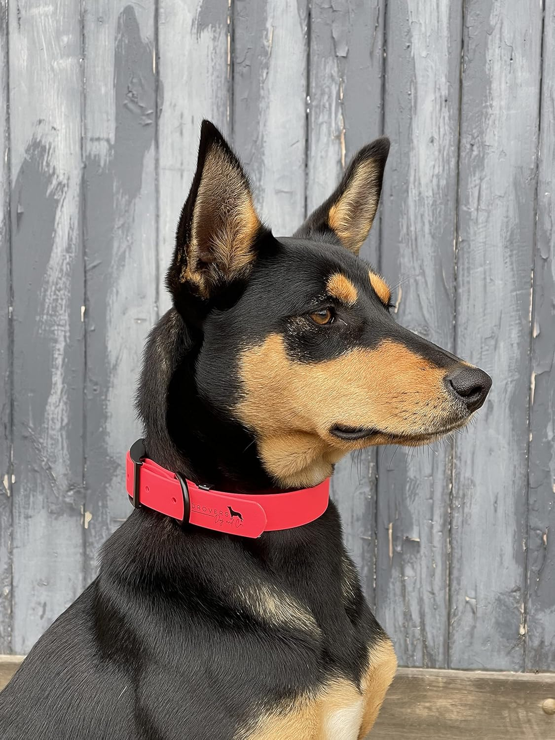 DROVERS Dog and Co Super Tuff Dog Collars- Stink Proof - Pink- Easy Clean (Medium) image number 6