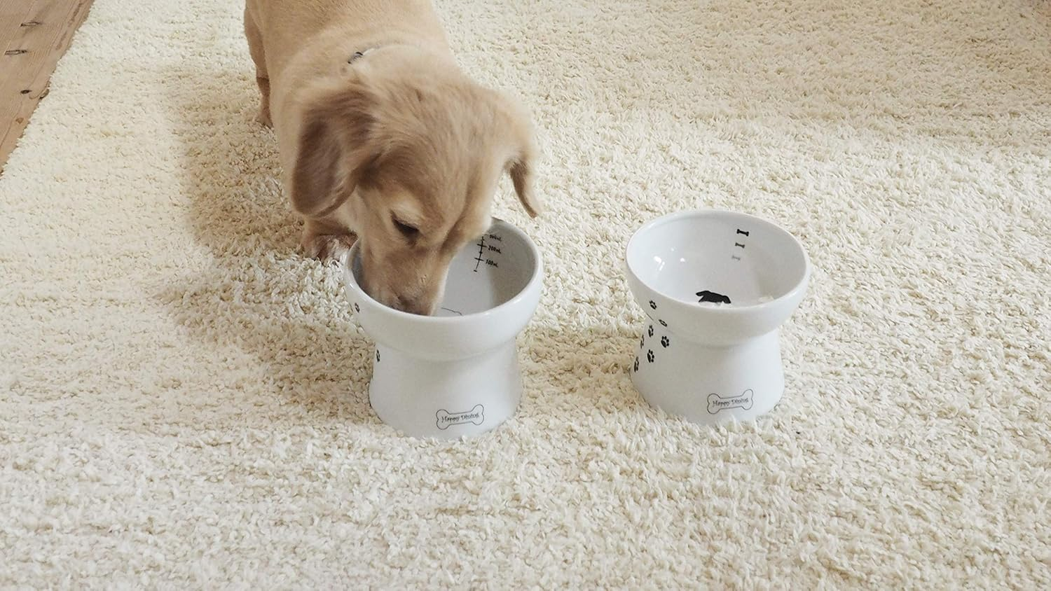 Necoichi Raised Dog Water Bowl image number 3