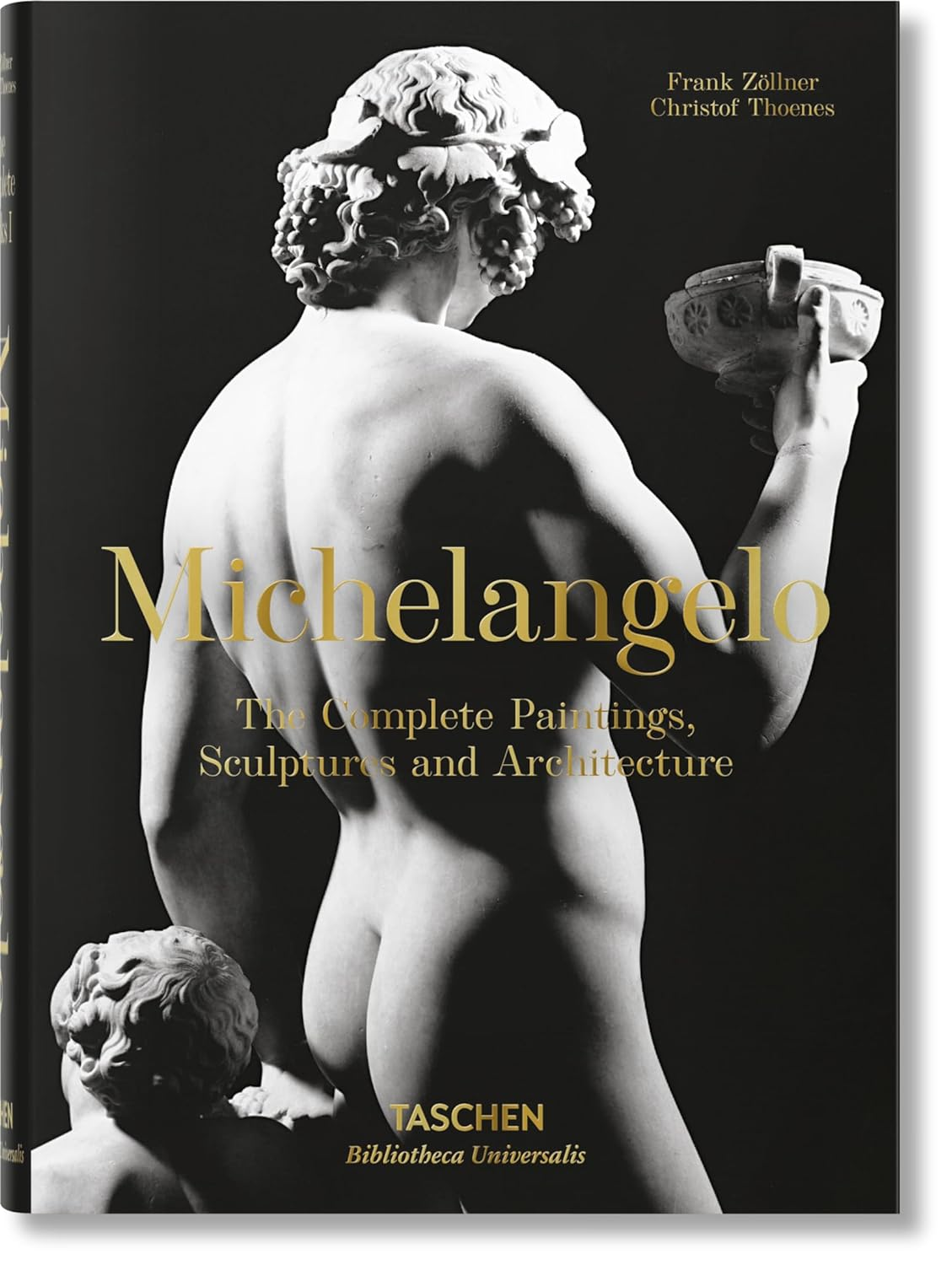 Michelangelo: the Complete Paintings, Sculptures and Architecture, 1475-1654 image number 4